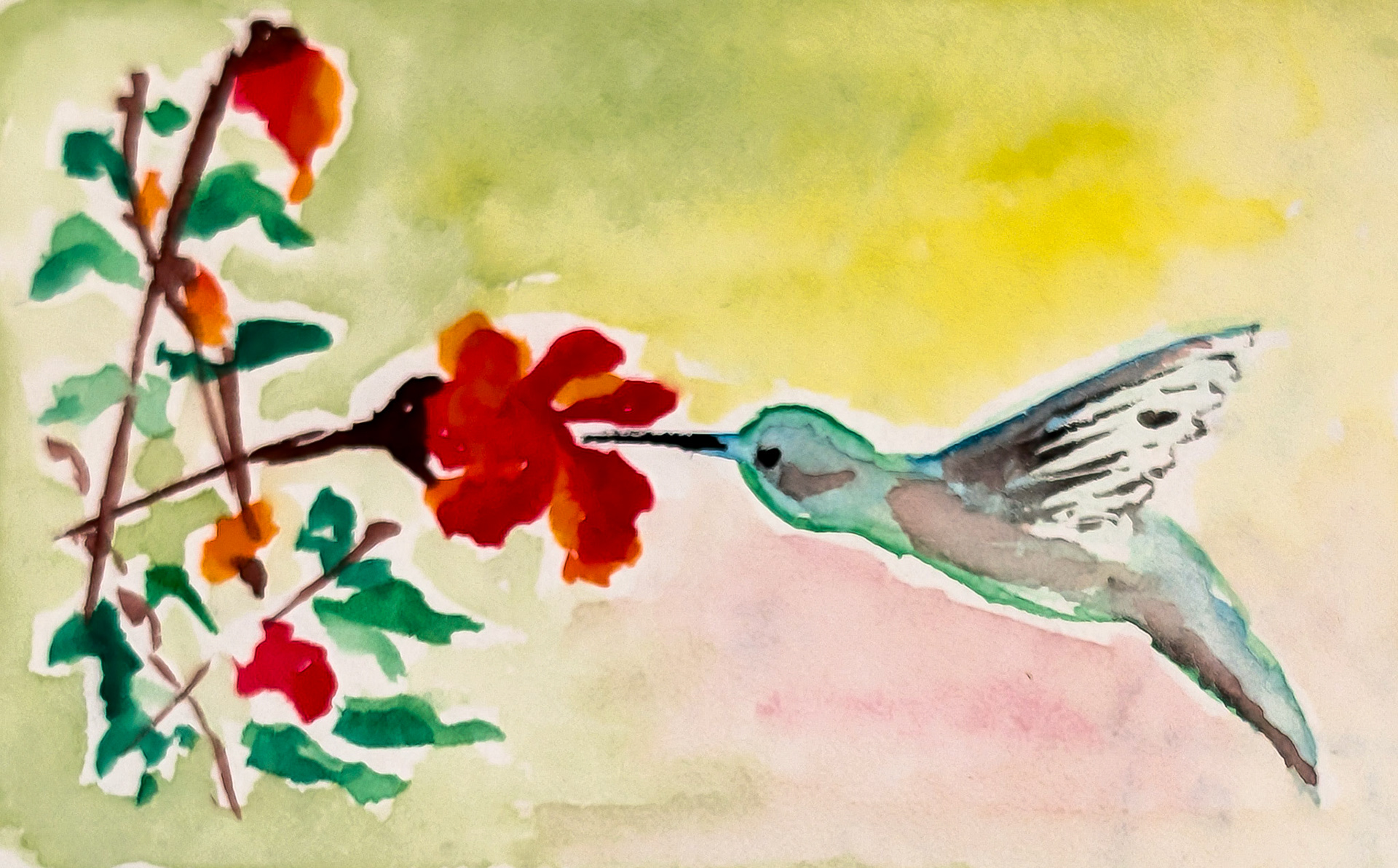 Hummingbird. Quick watercolor sketch - Satvik's favorite bird