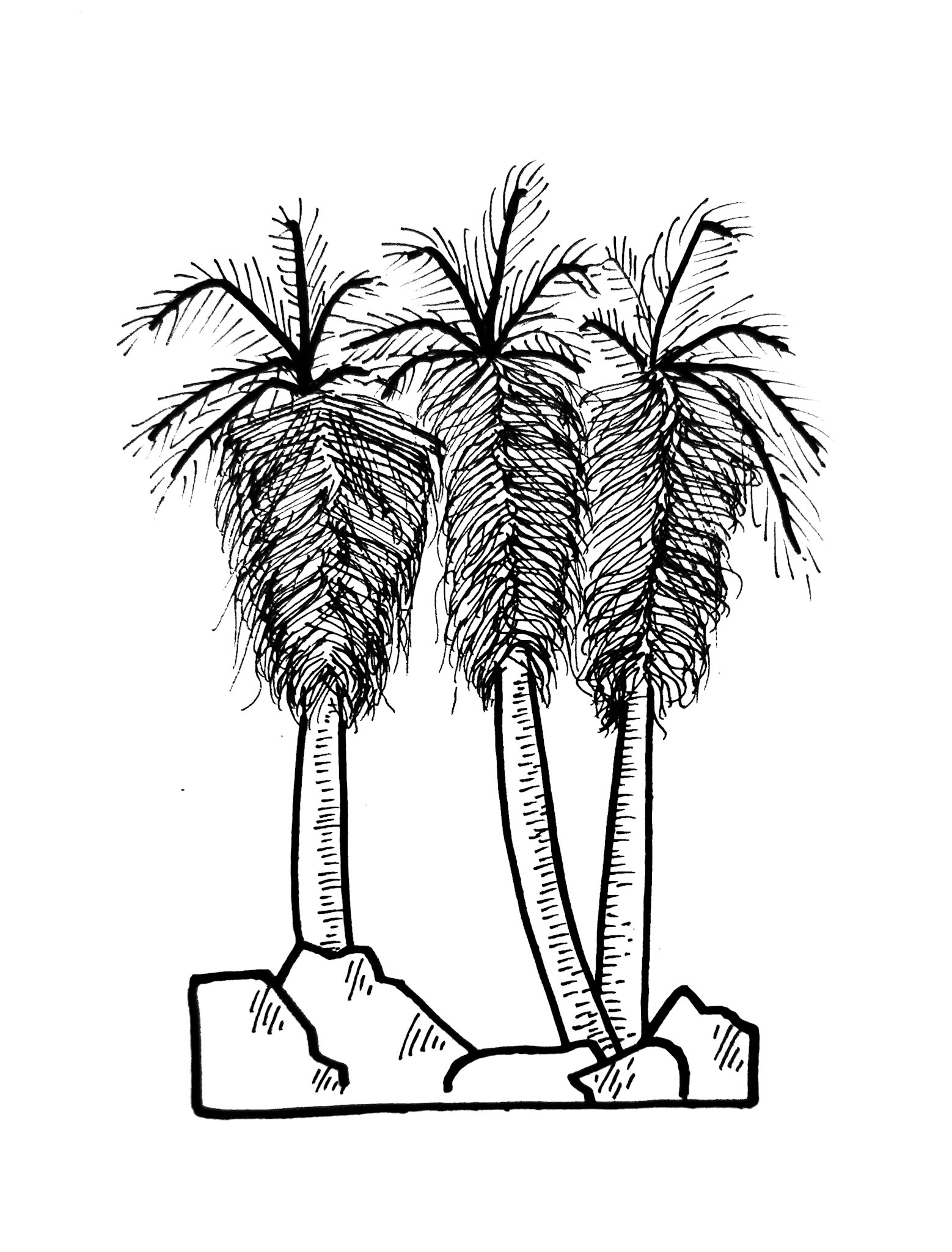 Indian Canyon. Palm Springs. California - from our 10 day west coast road trip