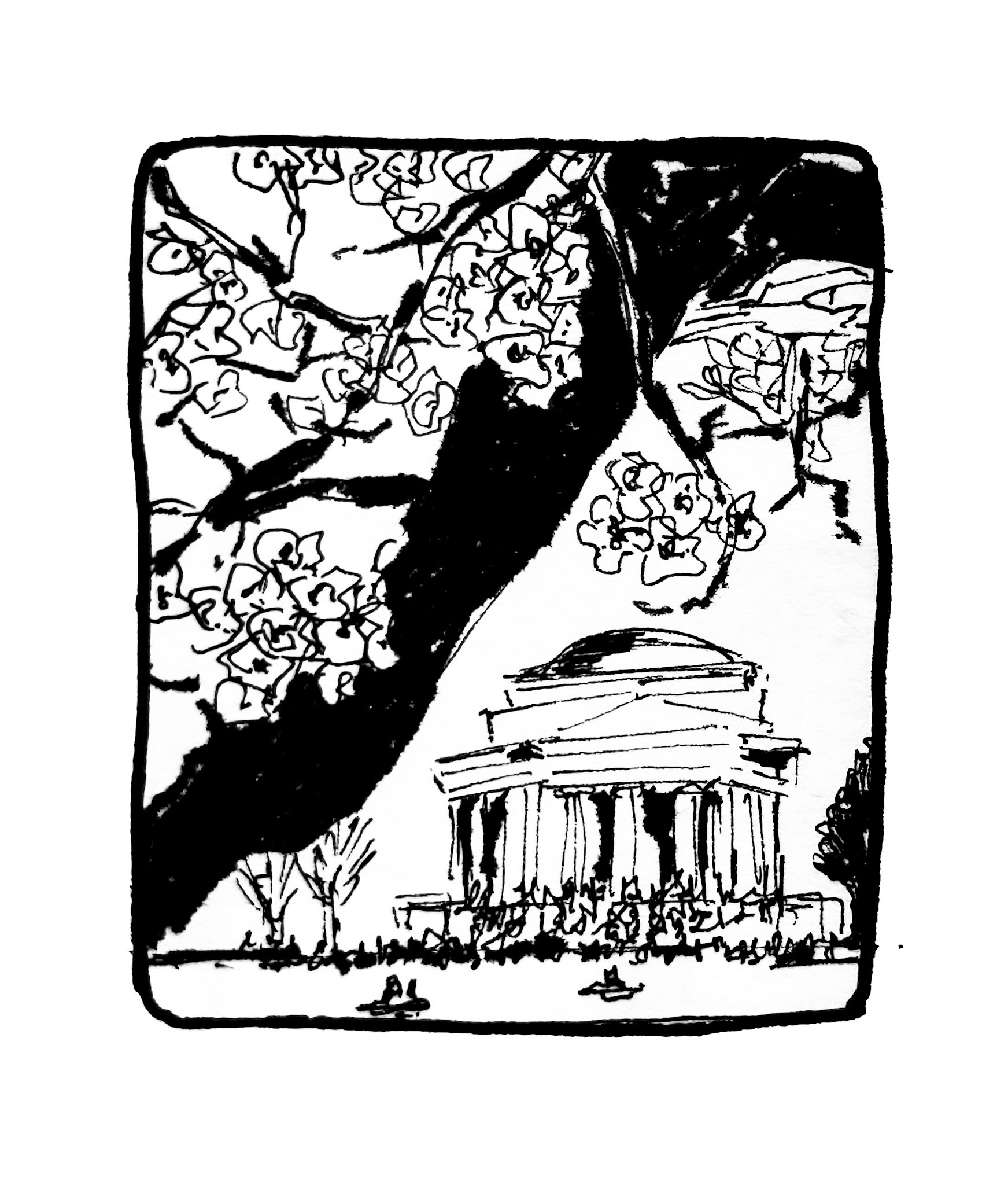 Cherry Blossom Festival. Washington DC. Magical season, you must visit.