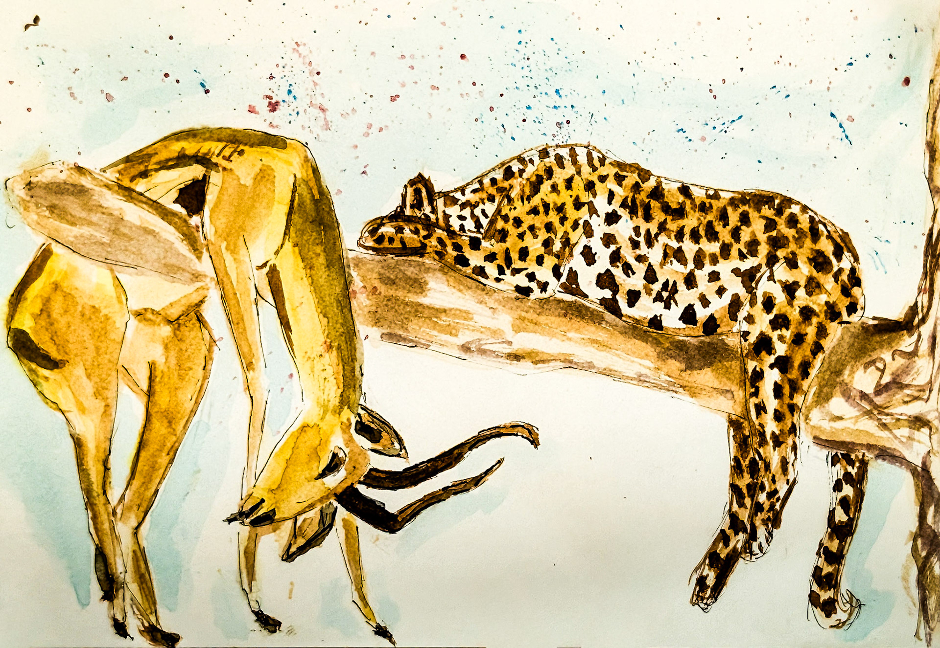 Smithsonian Museum of Natural History, Washington DC - eat sleep repeat