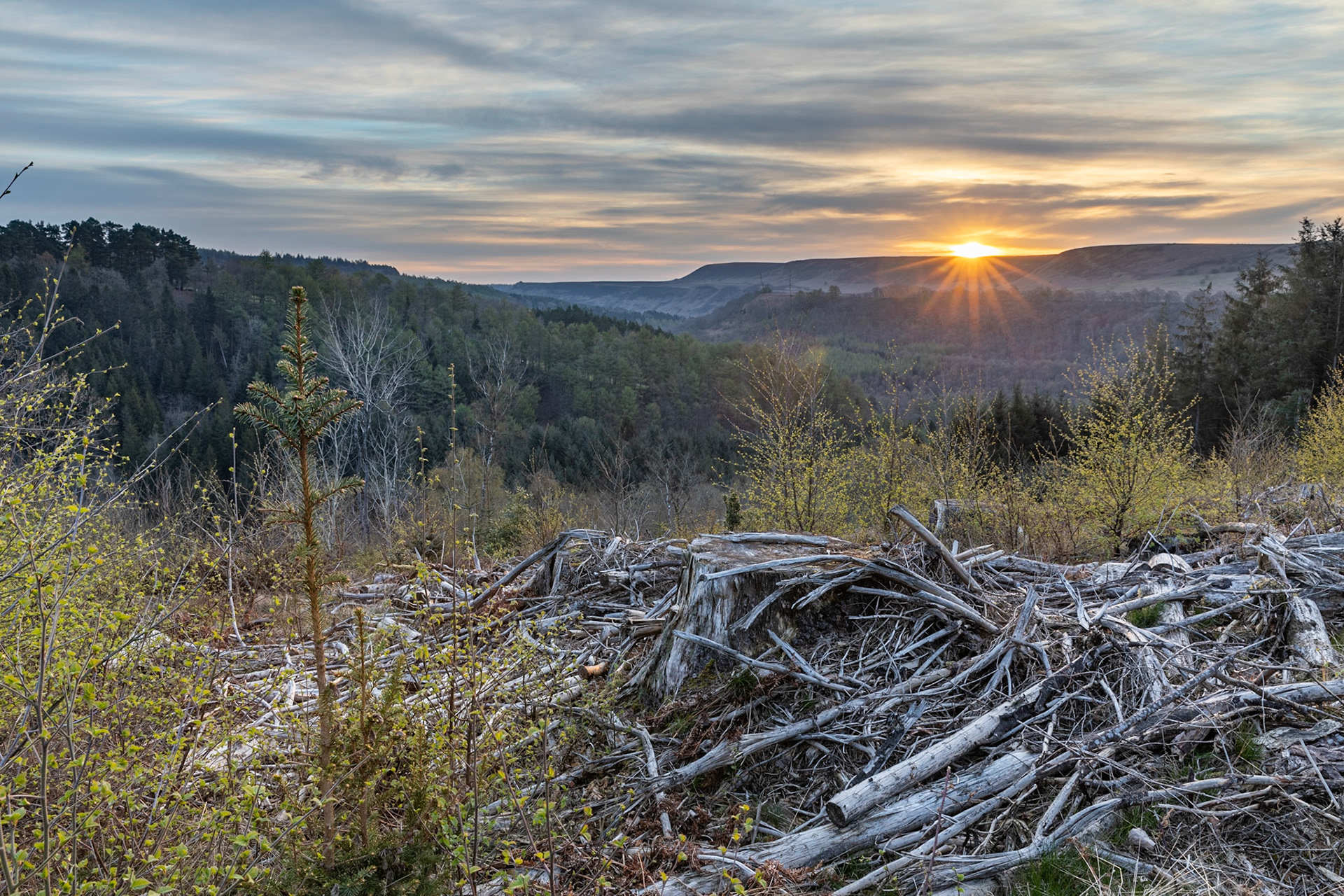Levisham Moor, North York Moors