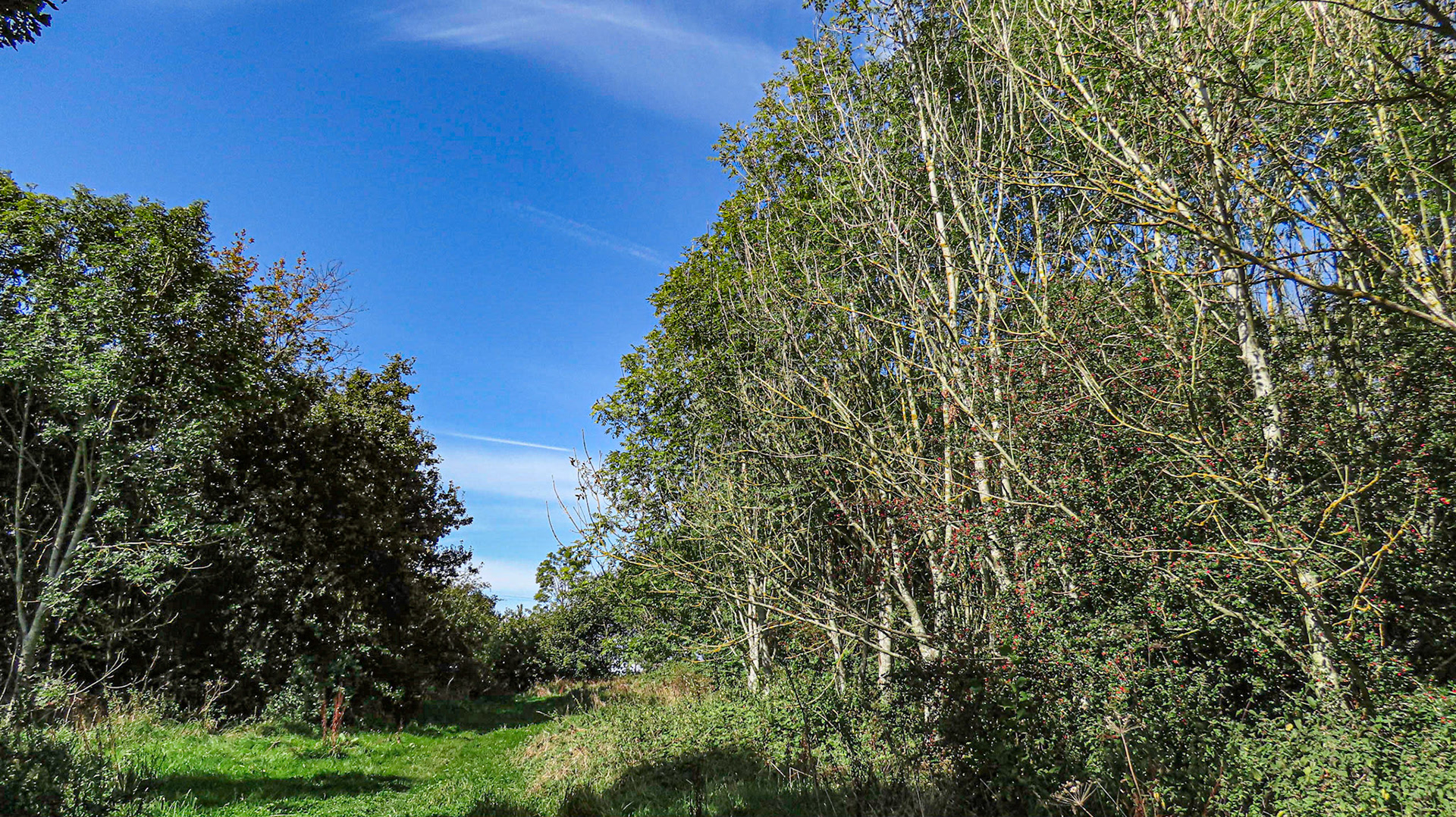 The Seek, Rutland