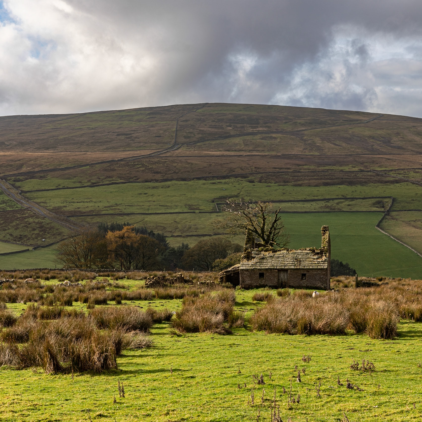 Abandoned cottage, Garrigill, North Pennines