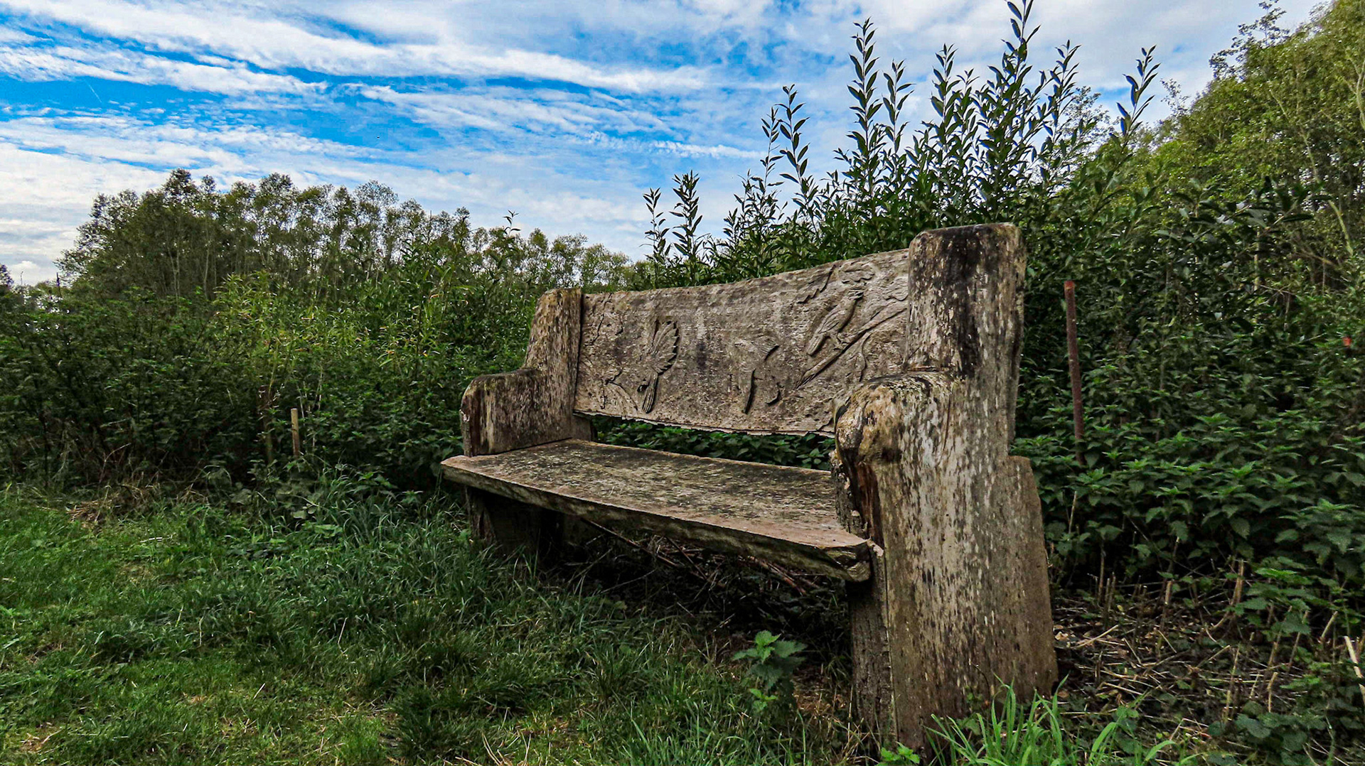 Cow Hollow Wood, Cambridgeshire