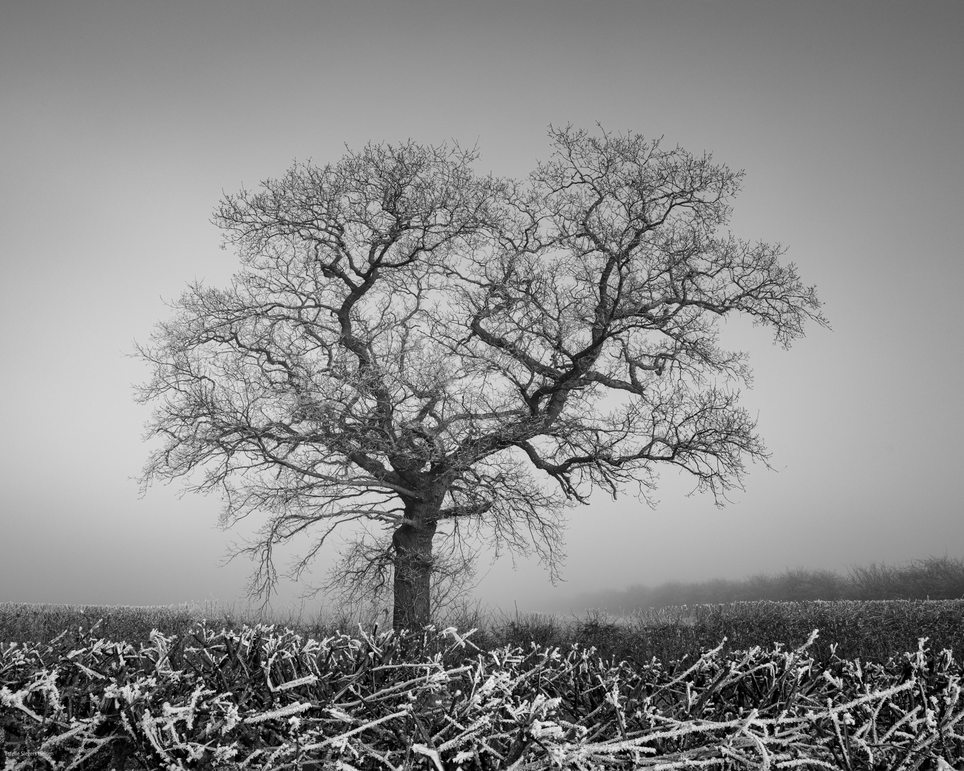 Waltham on the Wolds, Leicestershire