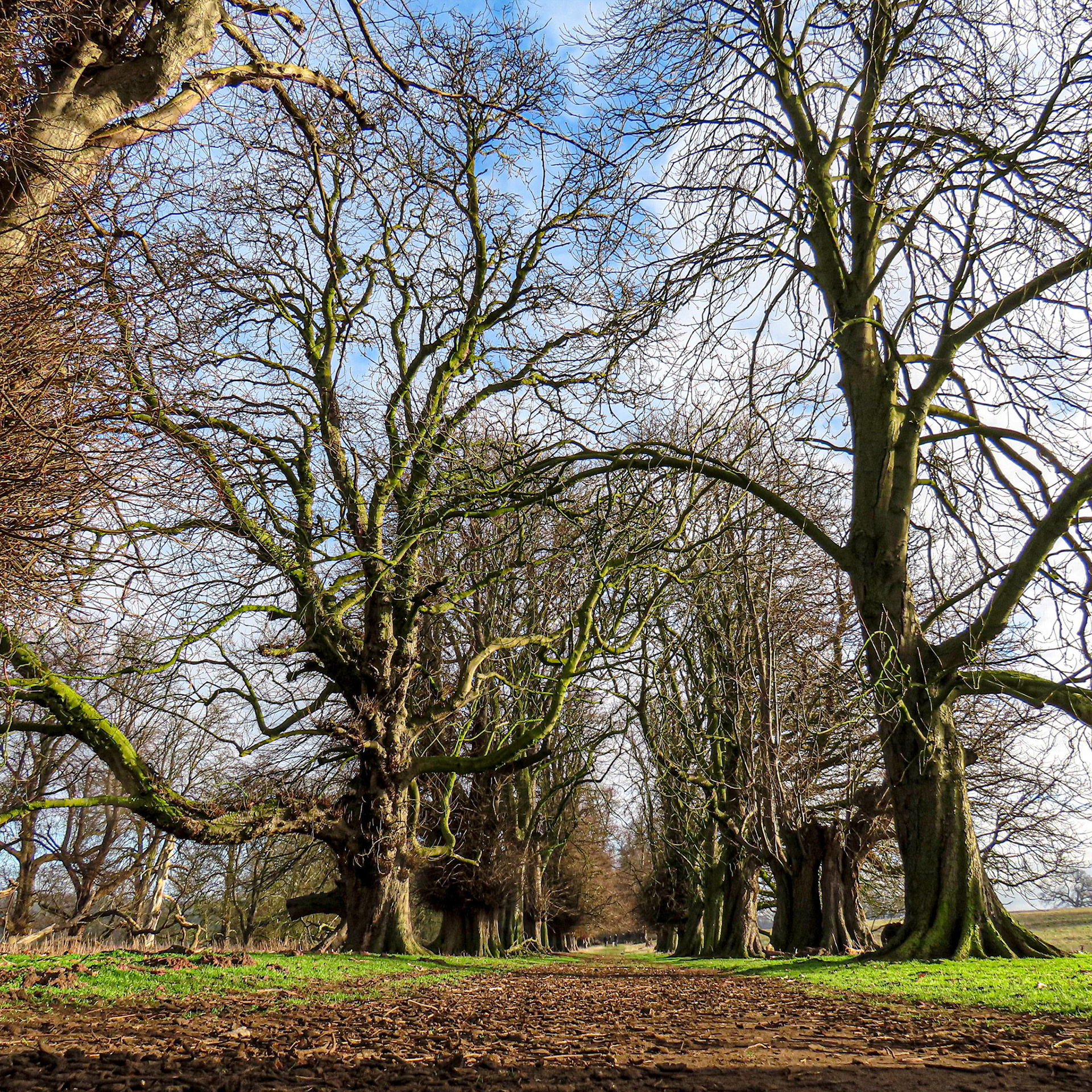 East Avenue, Belton Park
