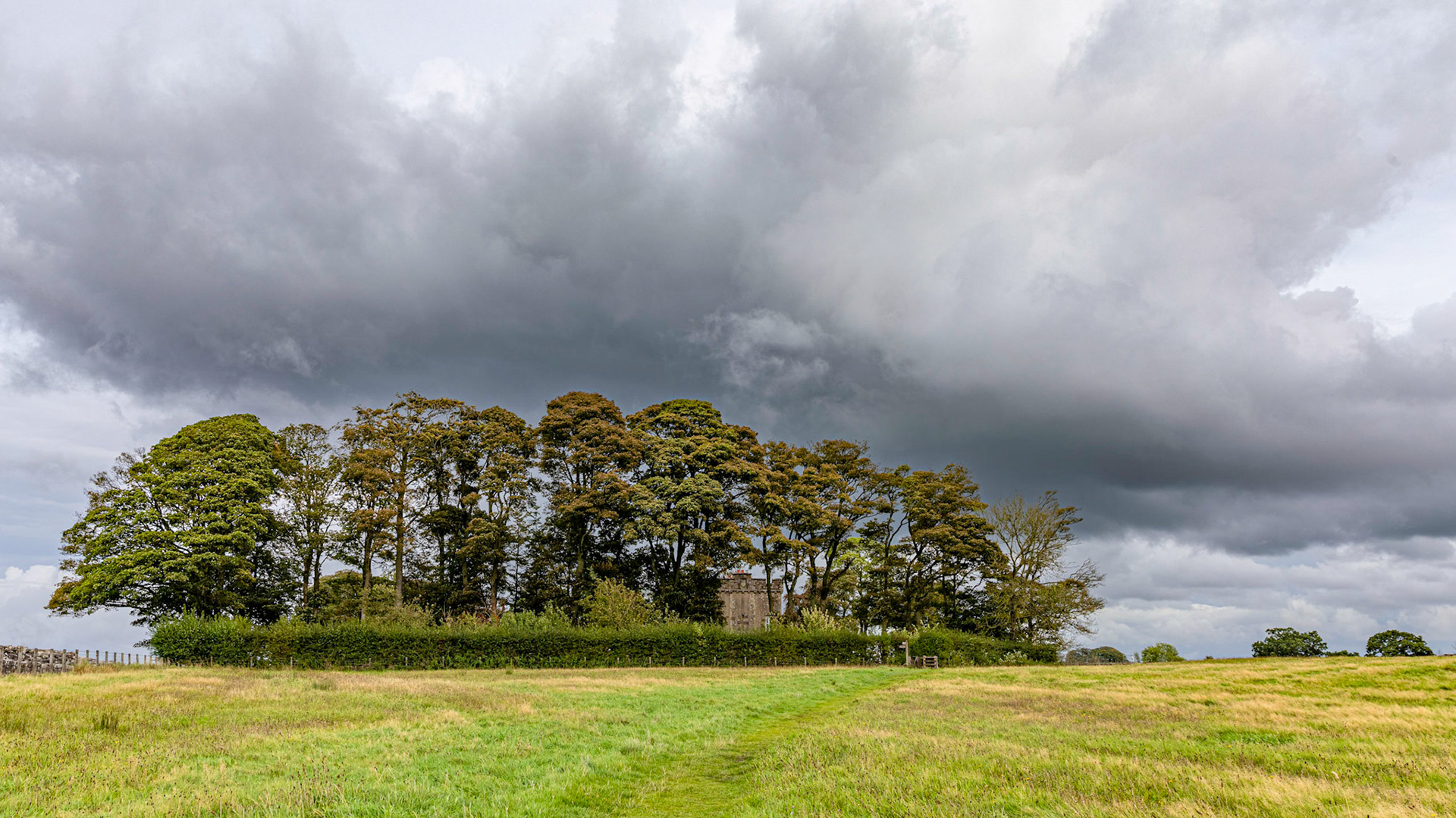 Birdoswald Roman Fort and sycamore trees, near Gilsland