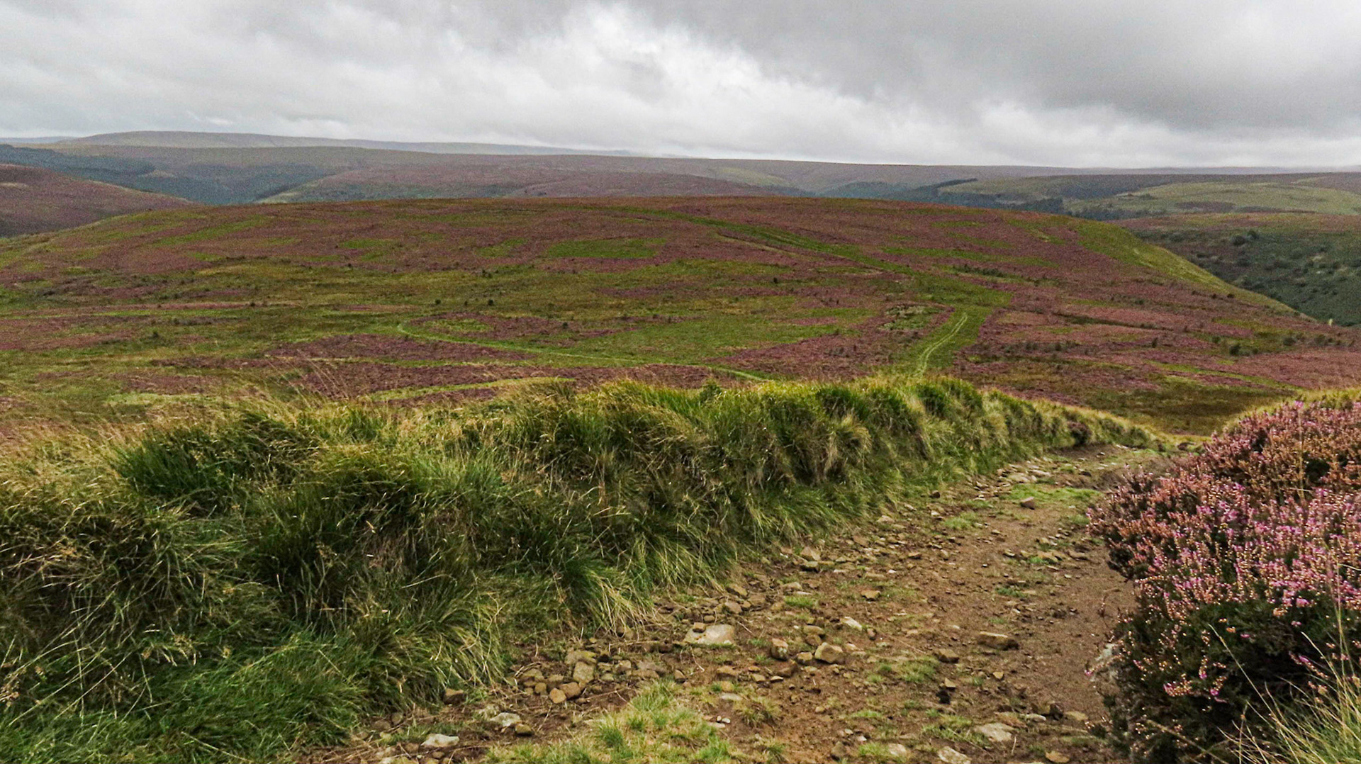 Path to Howden Edge at Nether Hey, High Peak Estate National Trust
