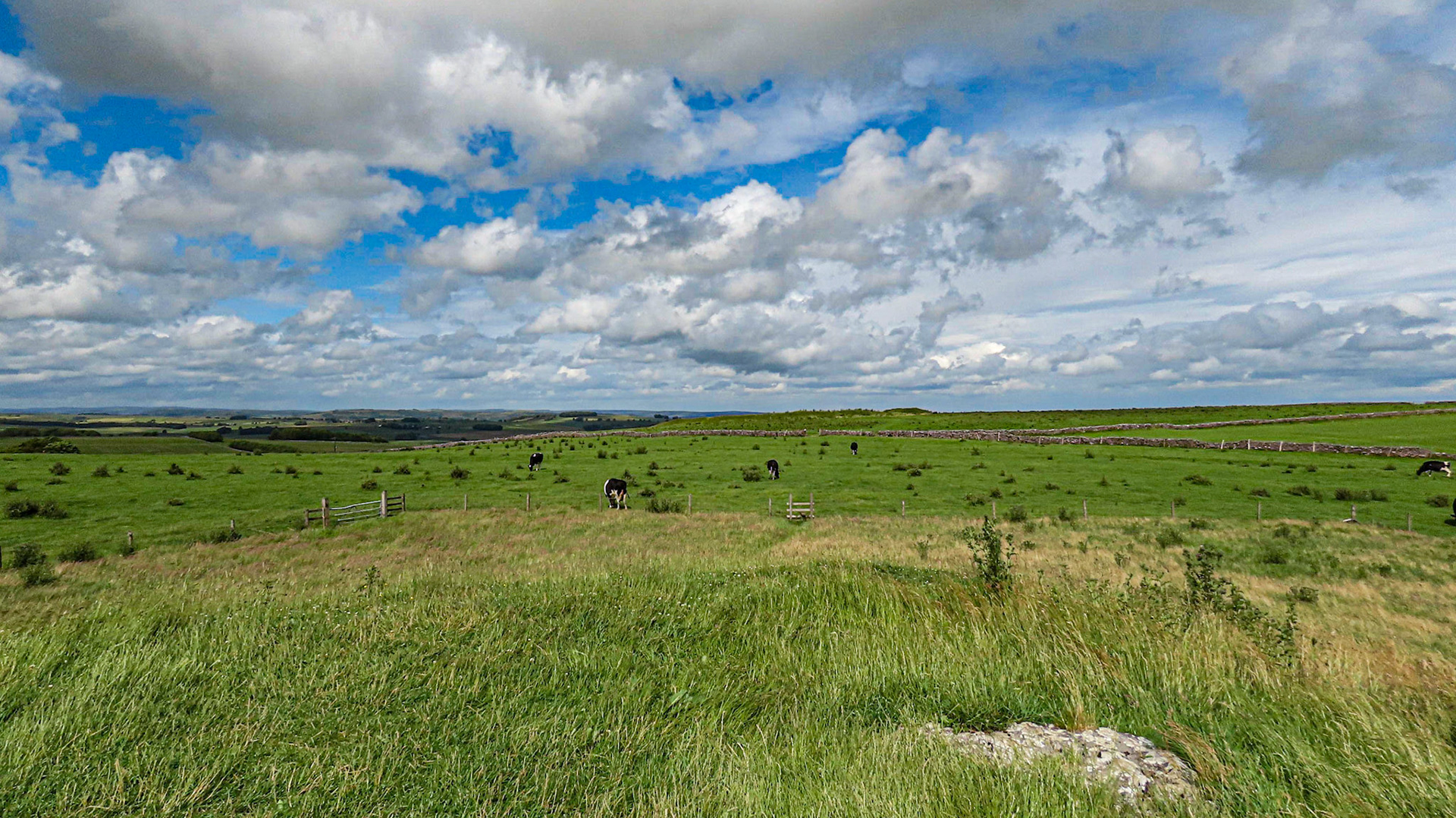 Arbor Low Henge from Gib Hill burial mound