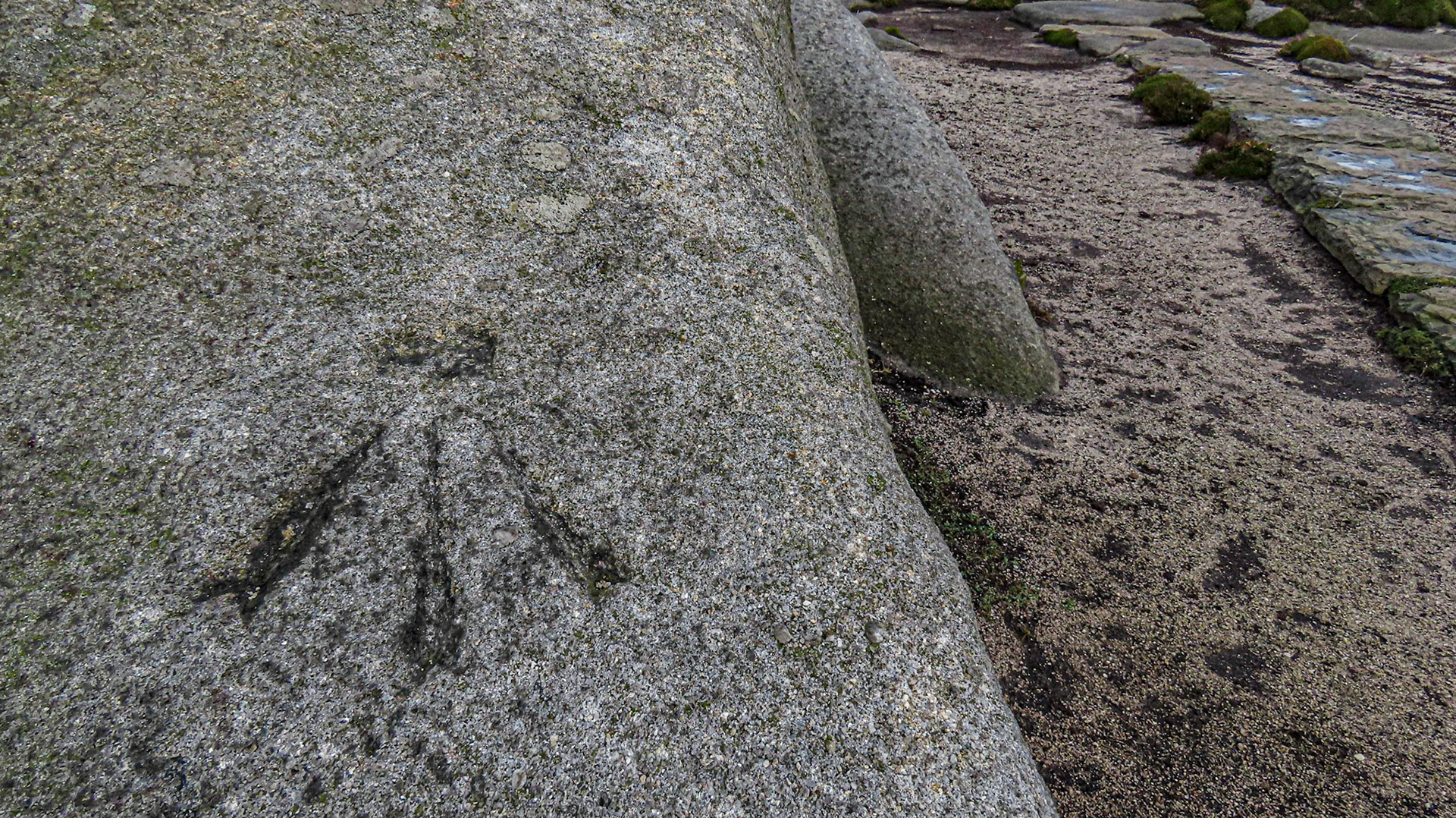 Benchmark 1656.2 - Dovestone Tor, Upper Derwent Valley, Derbyshire