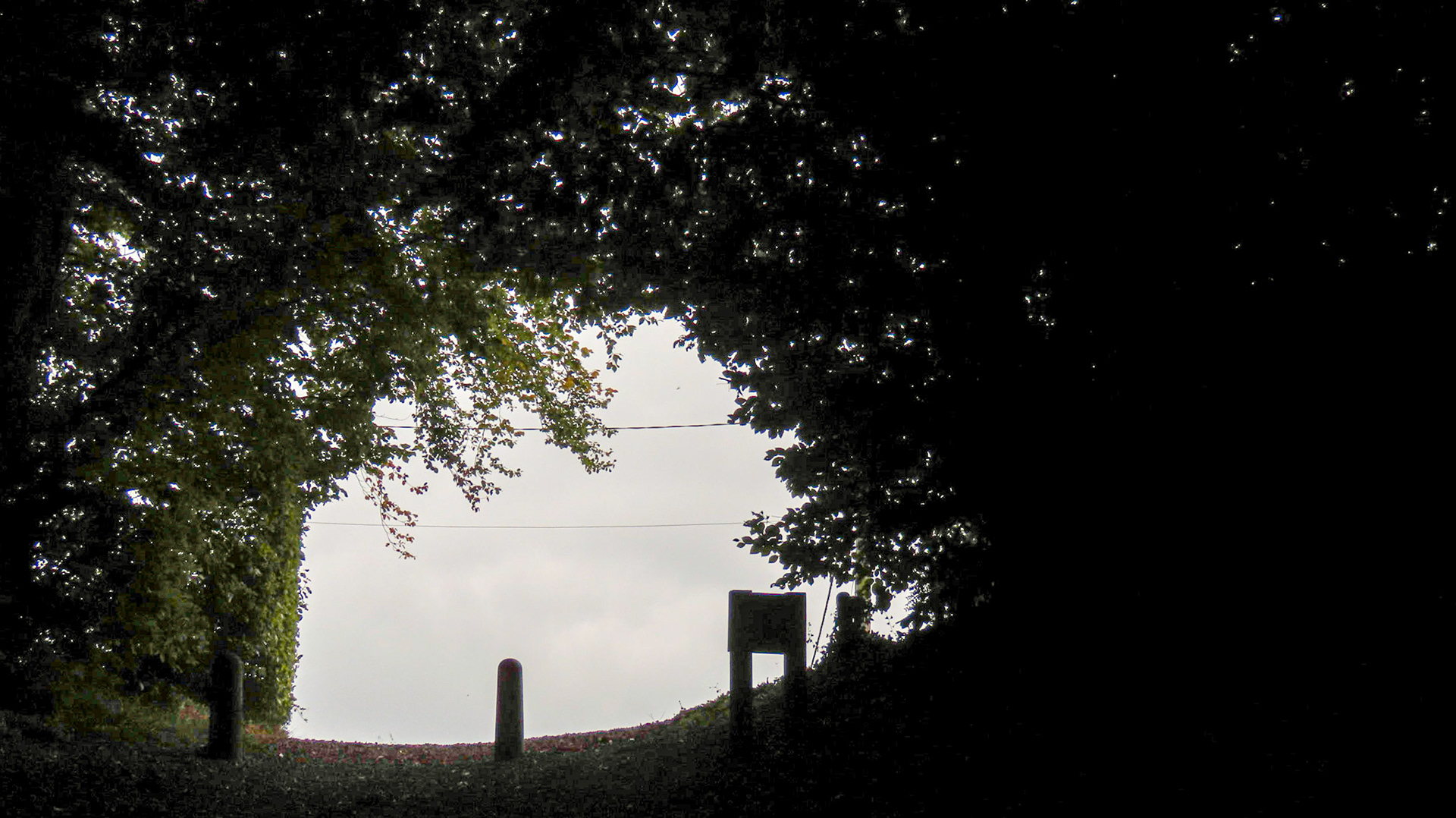Hunts Wood, Buckinghamshire