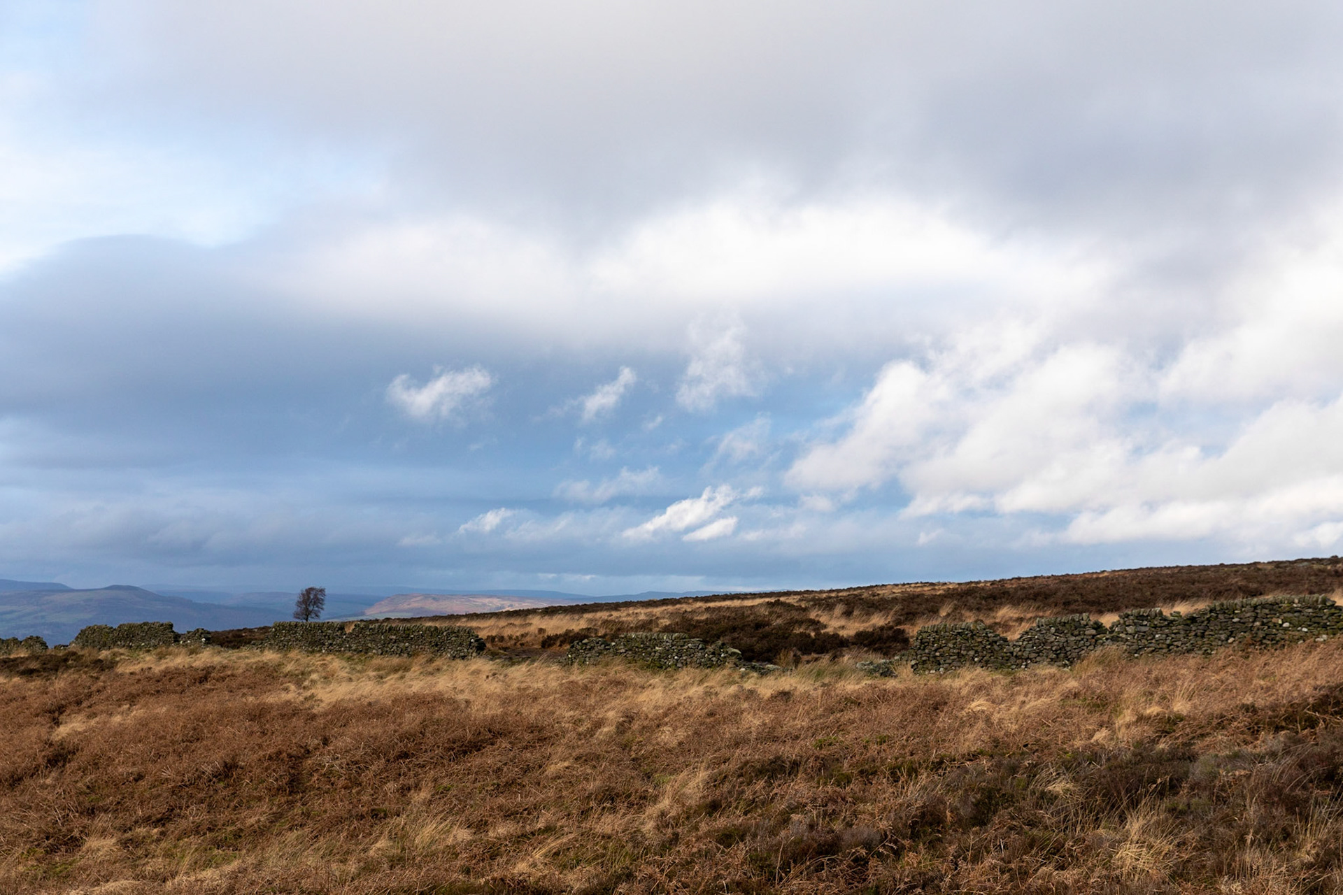 Dry stone wall at the White Edge along the footpath to the Grouse Inn