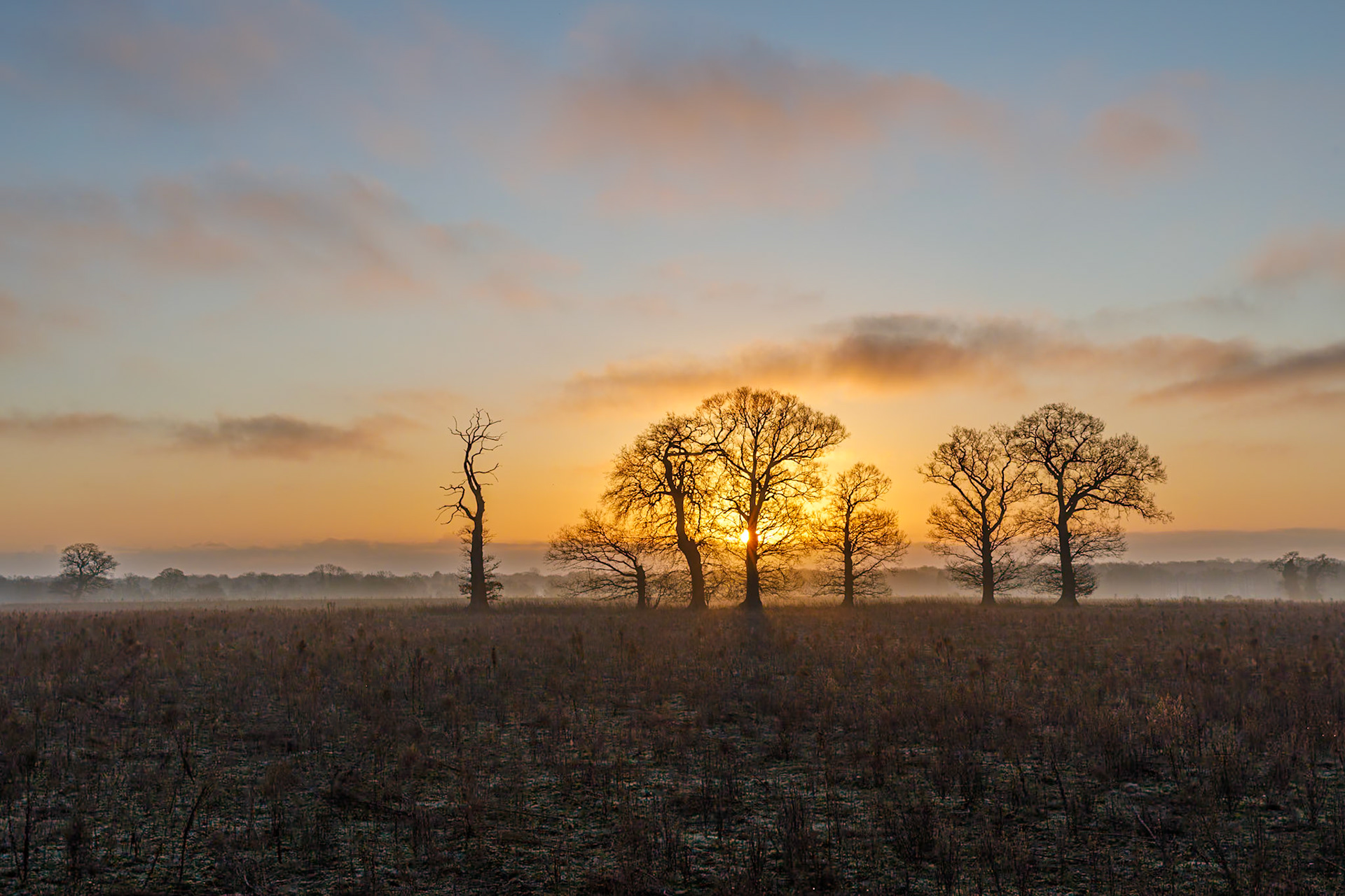 Thompson Wood sunrise