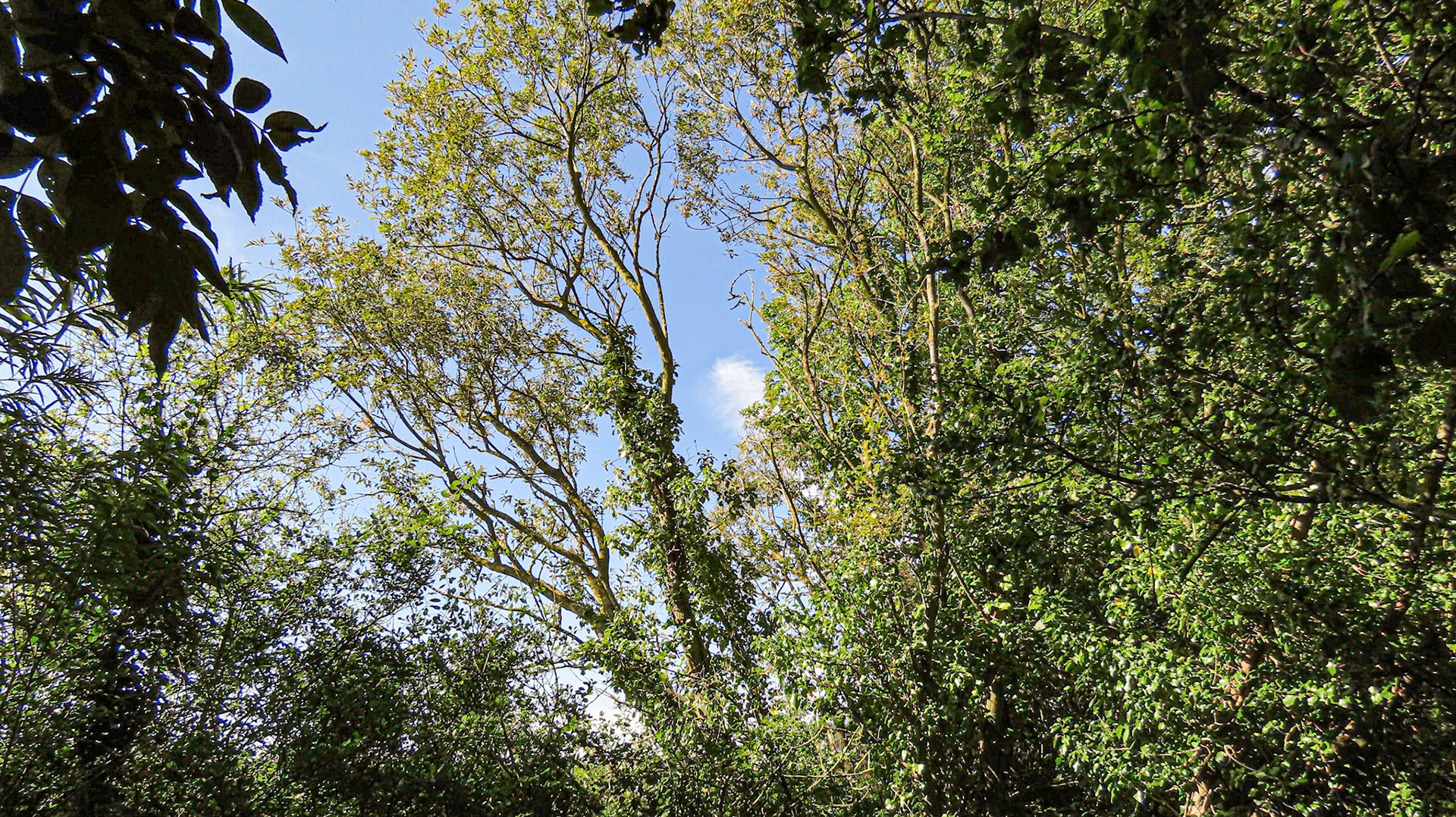 Washdyke, Lincolnshire