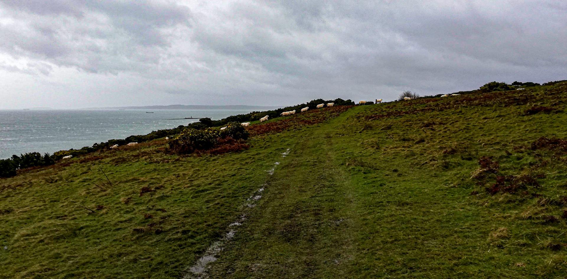 Coast of Point Lynas, Anglesey