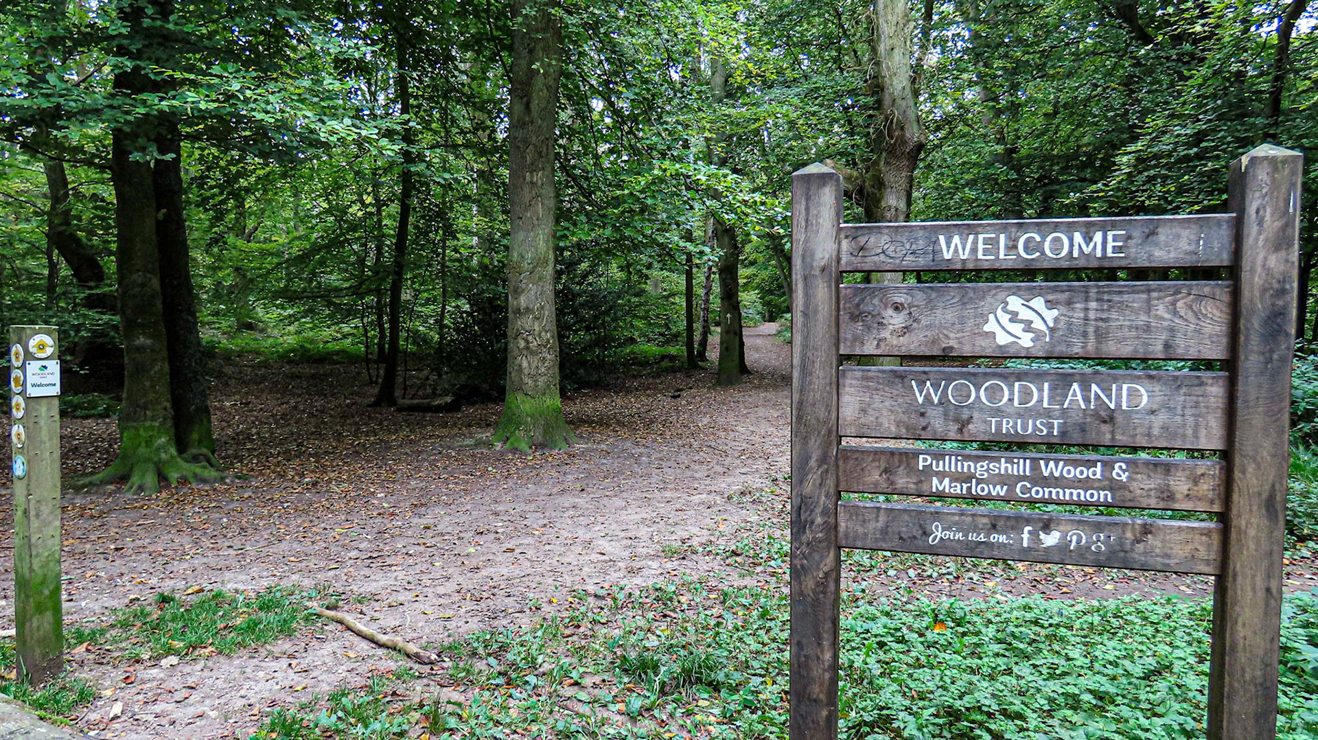 Pullingshill Wood & Marlow Common, Buckinghamshire