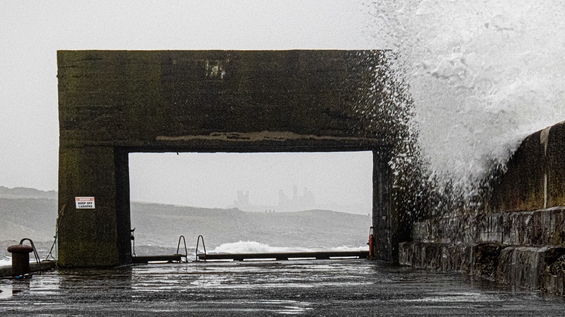 Craster