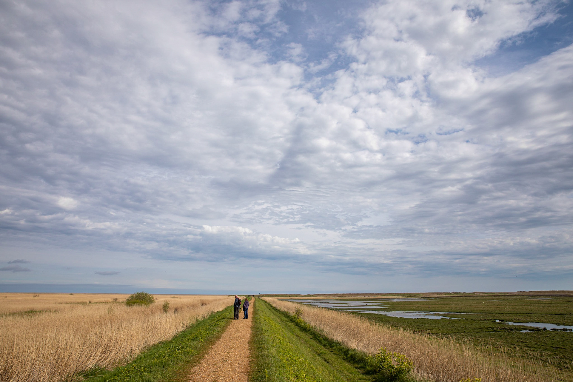 Cley Marches Nature Reserve, Cley Next the Sea