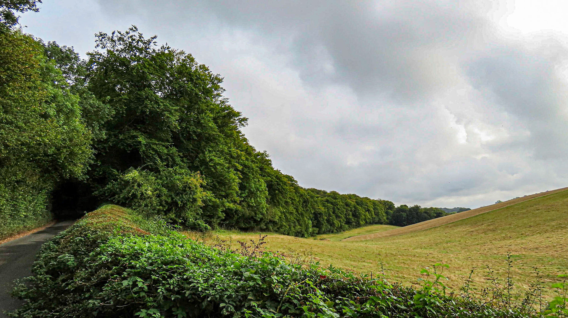 Pullingshill Wood & Marlow Common, Buckinghamshire