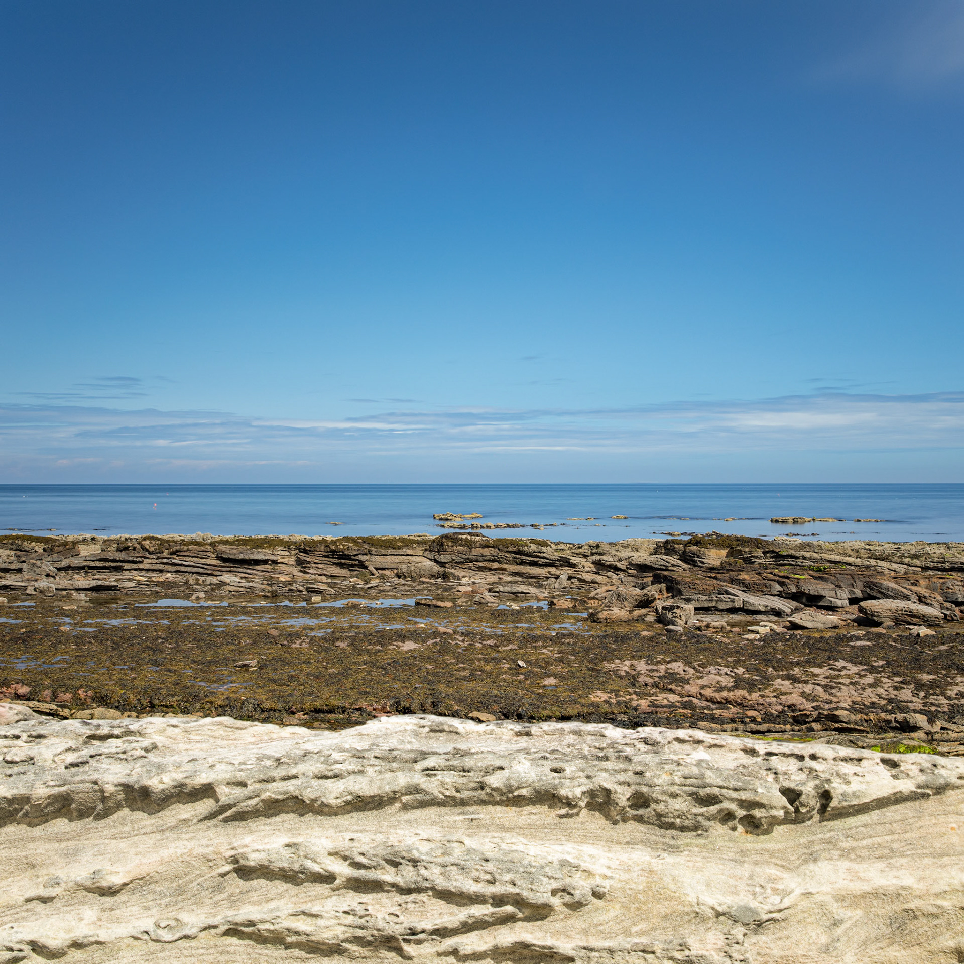 Cove Harbour, Cove