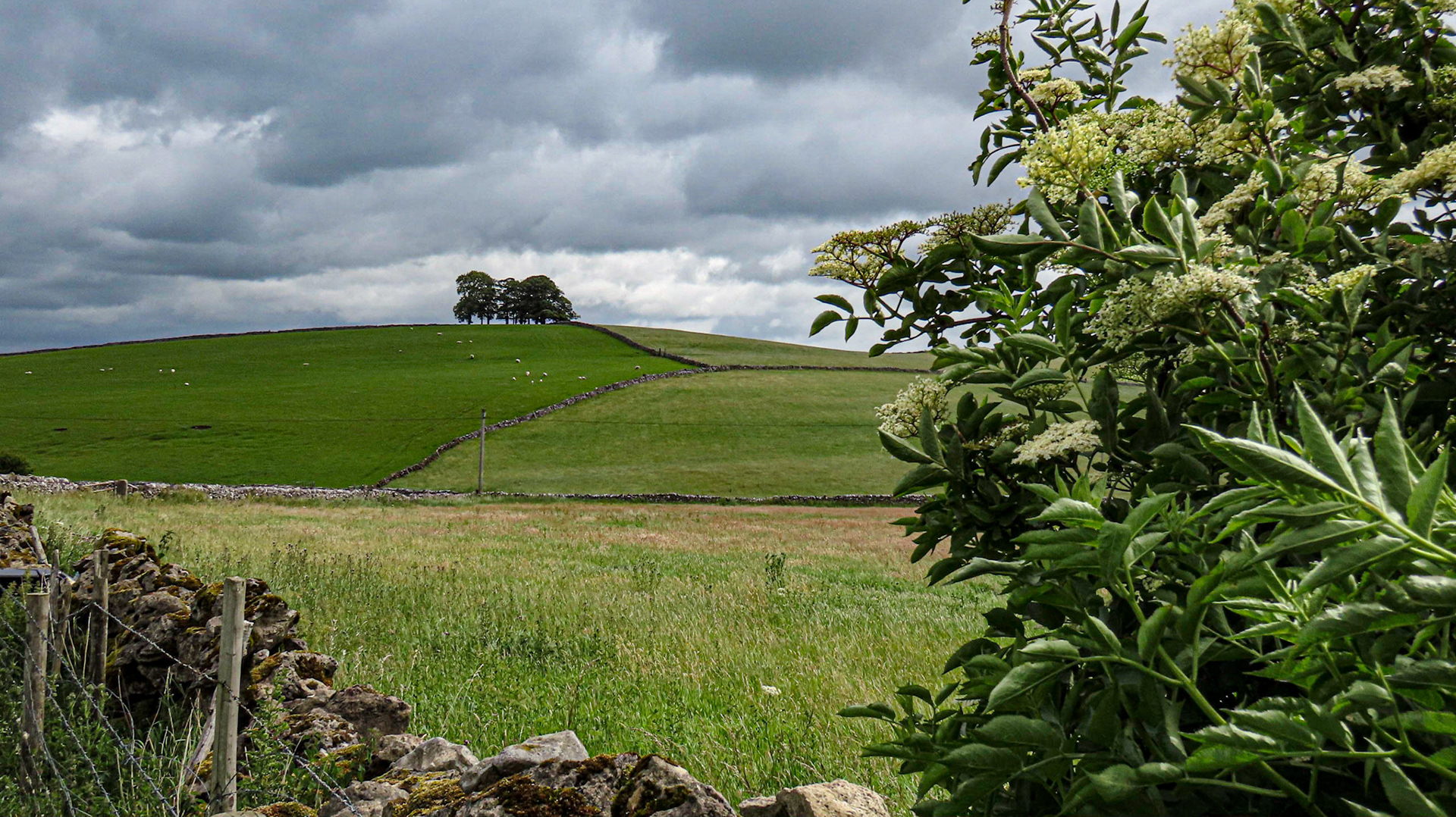 Tumulus near Gratton Moor