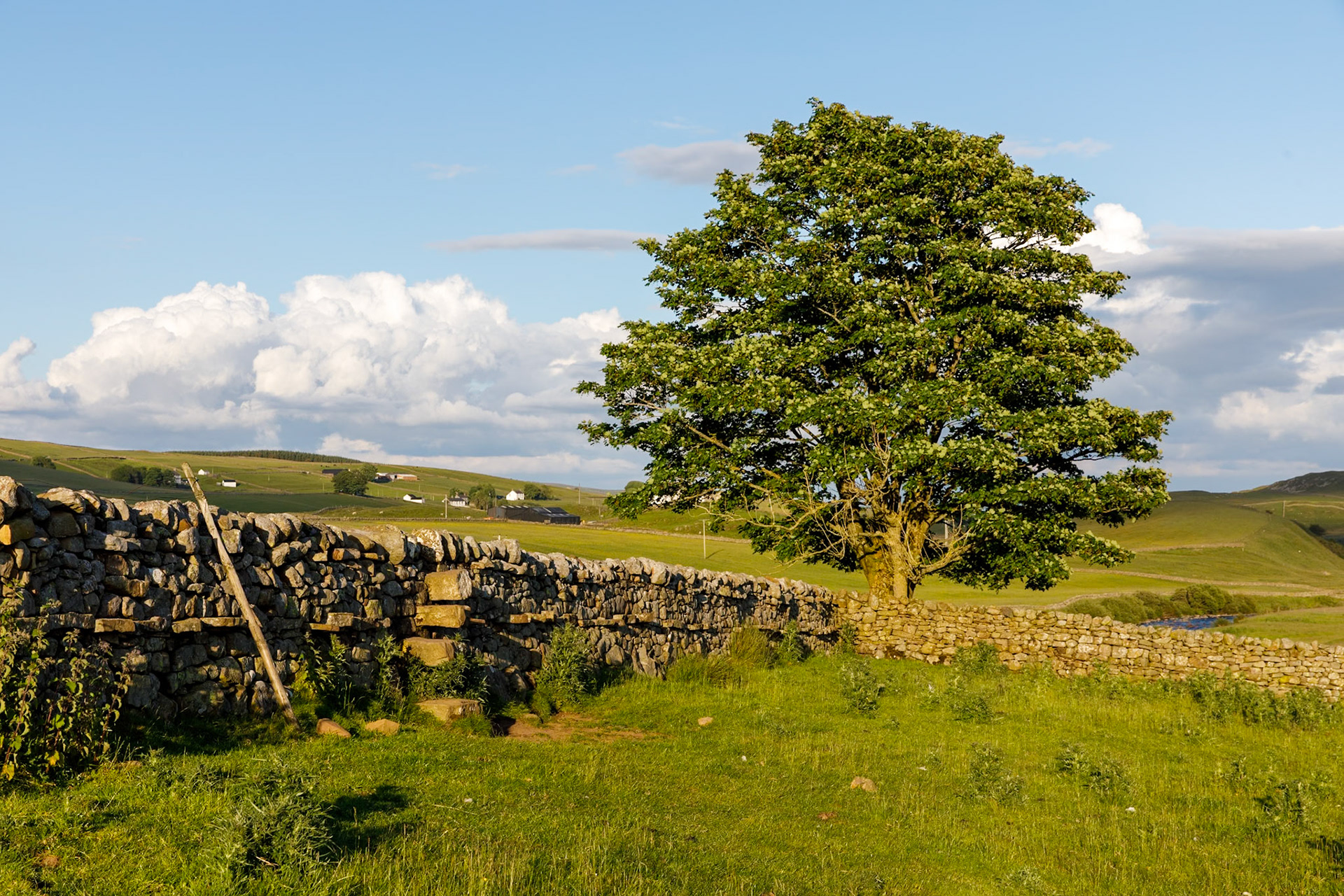 The Pennine Way near Sayer Hill