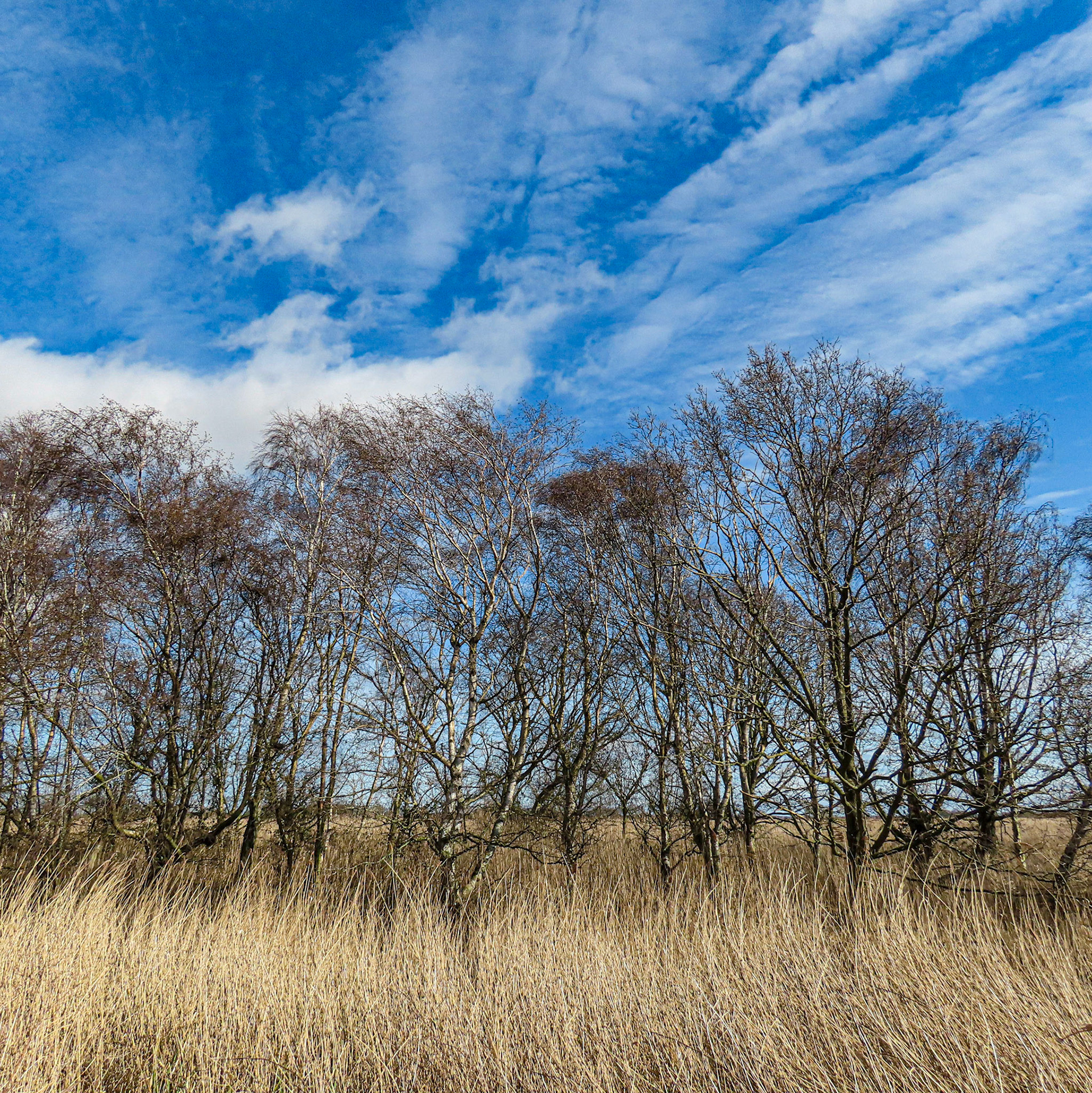 Hickling Broad, Potter Heigham, The Broads