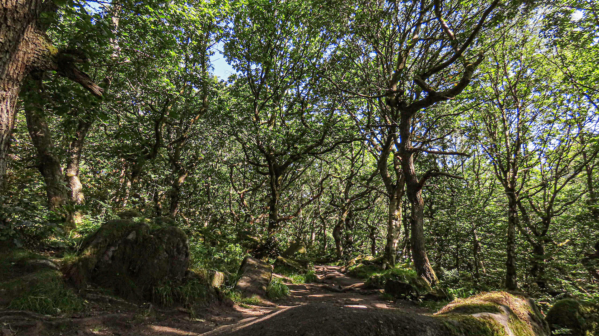 Padley Gorge, Grindleford, Derbyshire
