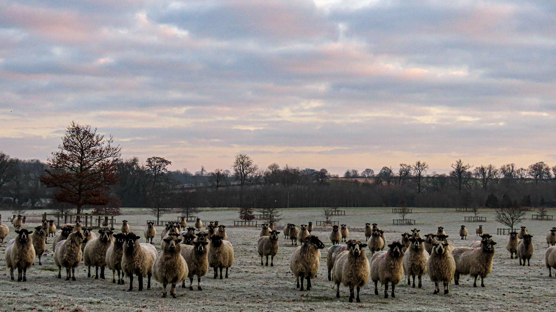 Edmondthorpe Estate, Edmondthorpe, Leicestershire
