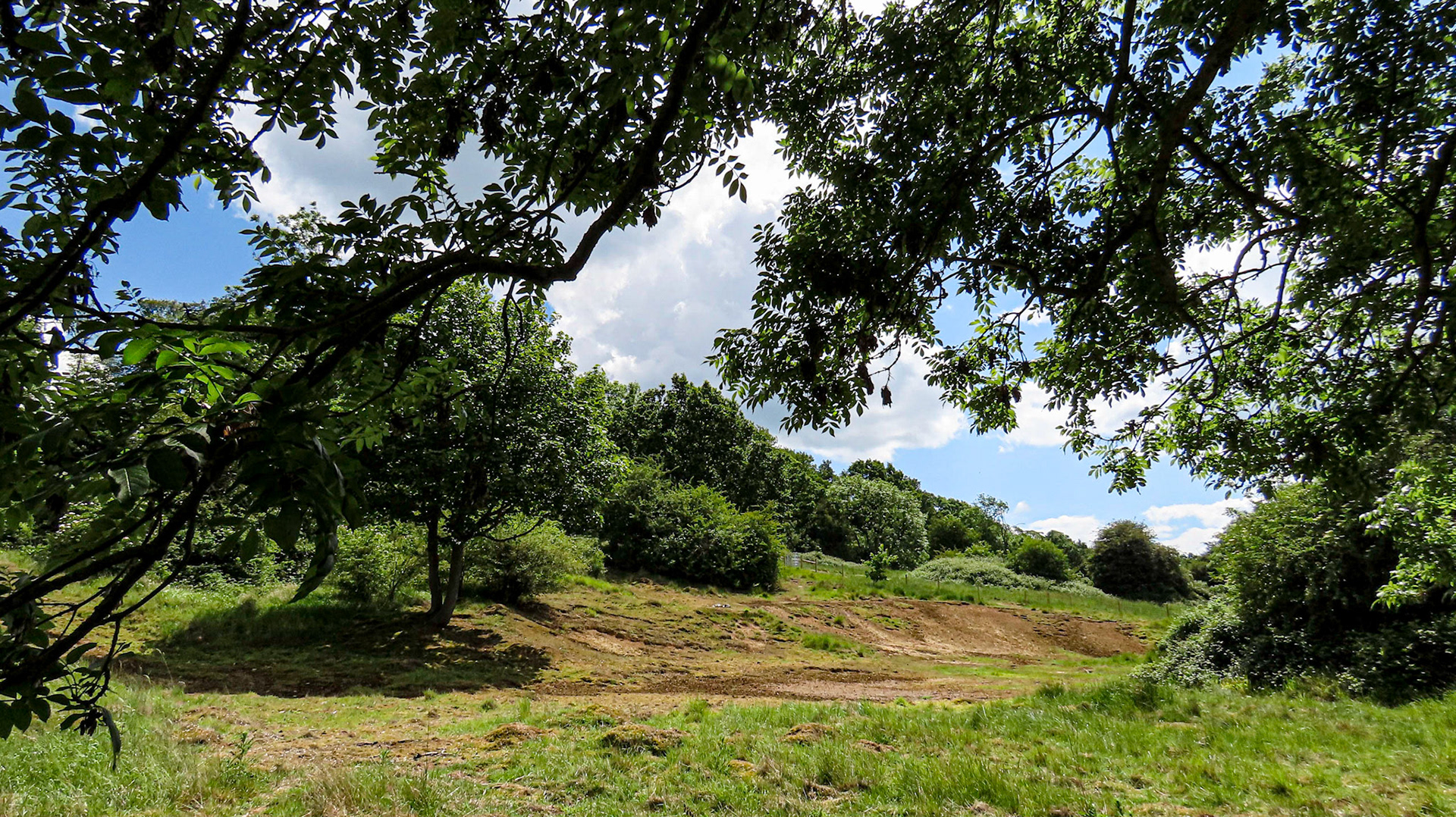 Londonthorpe Woods, Lincolnshire