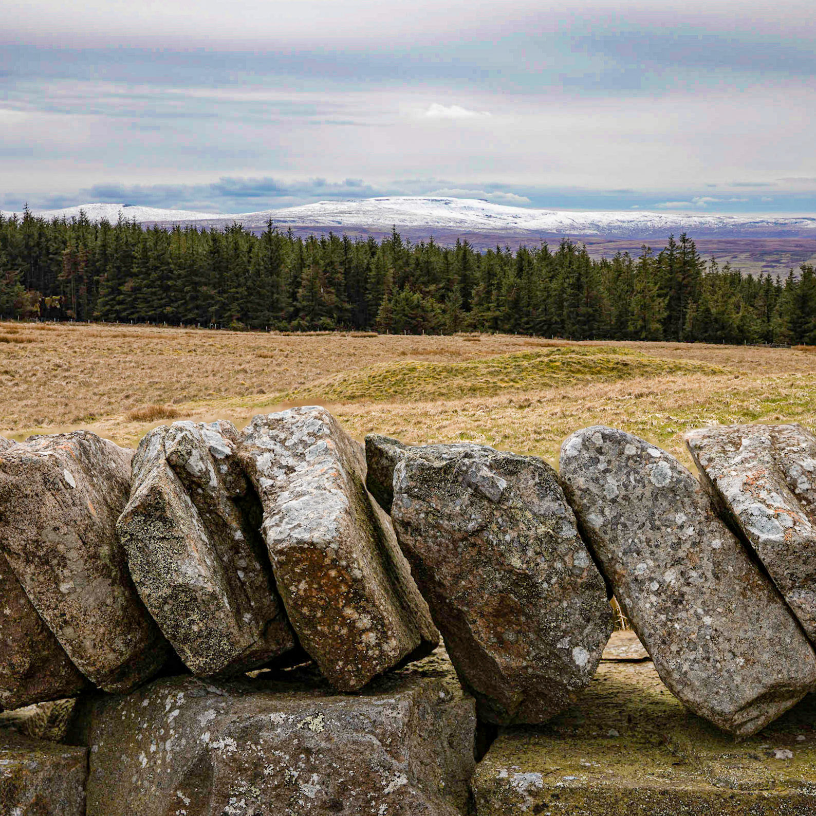 The triumvirate of Great Dun Fell, Little Dun Fell and Cross Fell