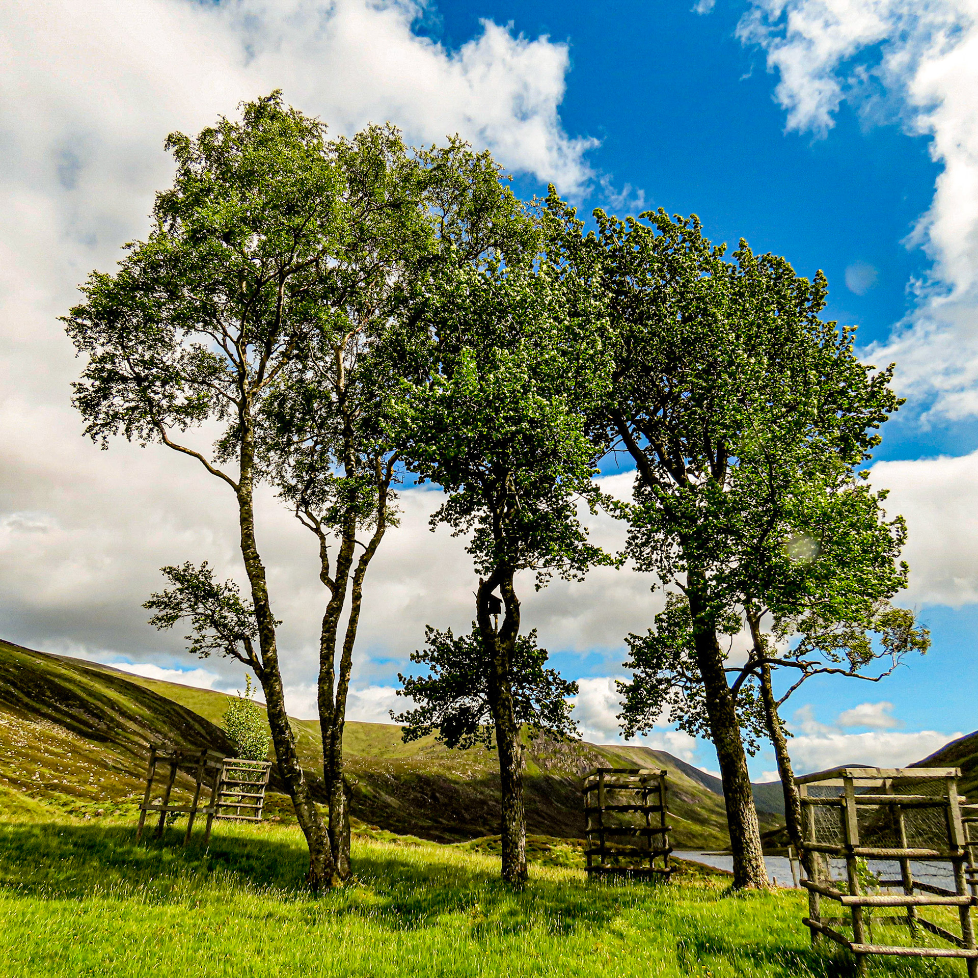 Glen Callater, Invercauld Estate