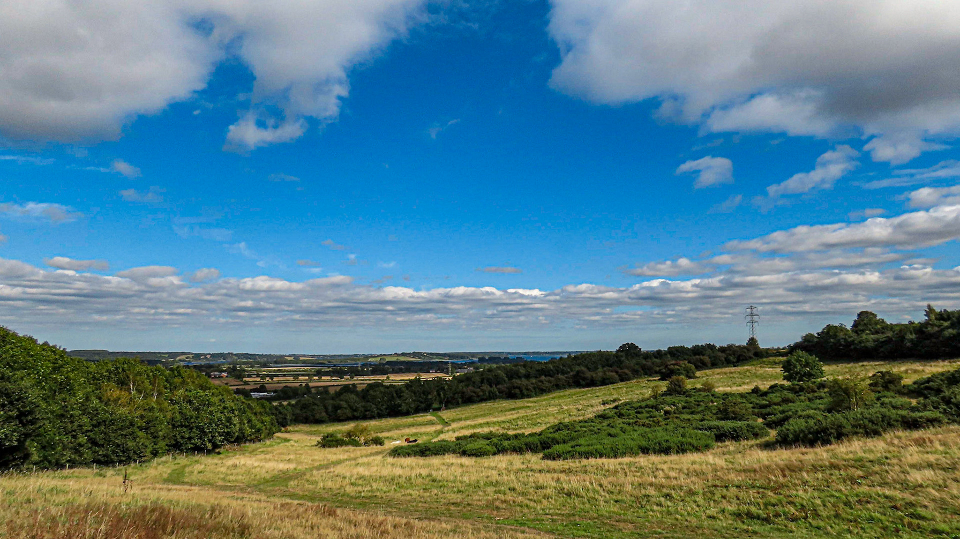 Brooke Hill Wood, Rutland