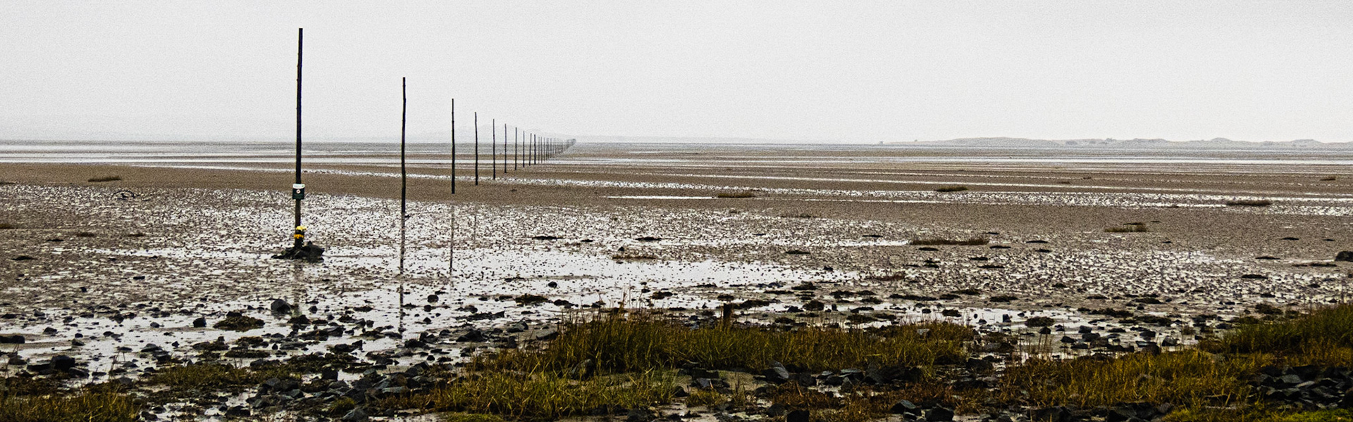 View from Lindisfarne Isle