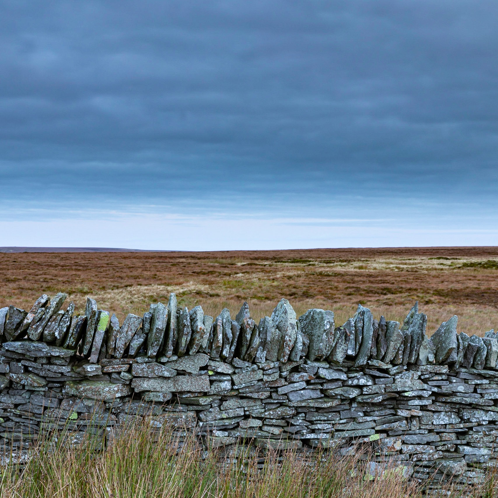 Dry stone wall at dawn, Alston, North Pennines