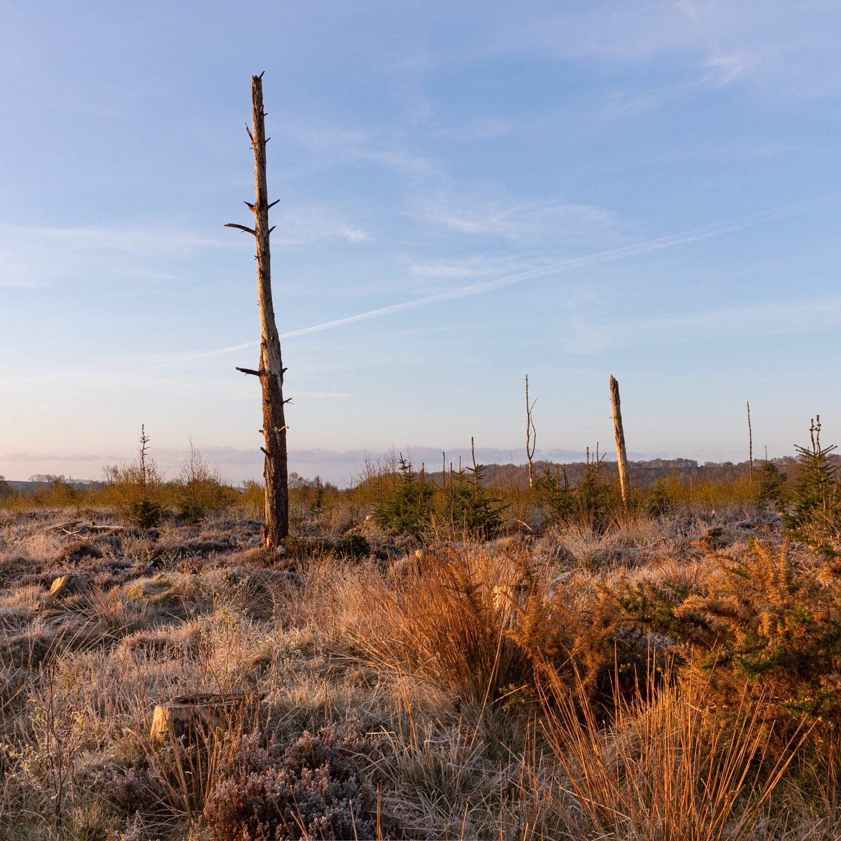 Blue hour near Lower Farm, Newton-on-Rawcliffe