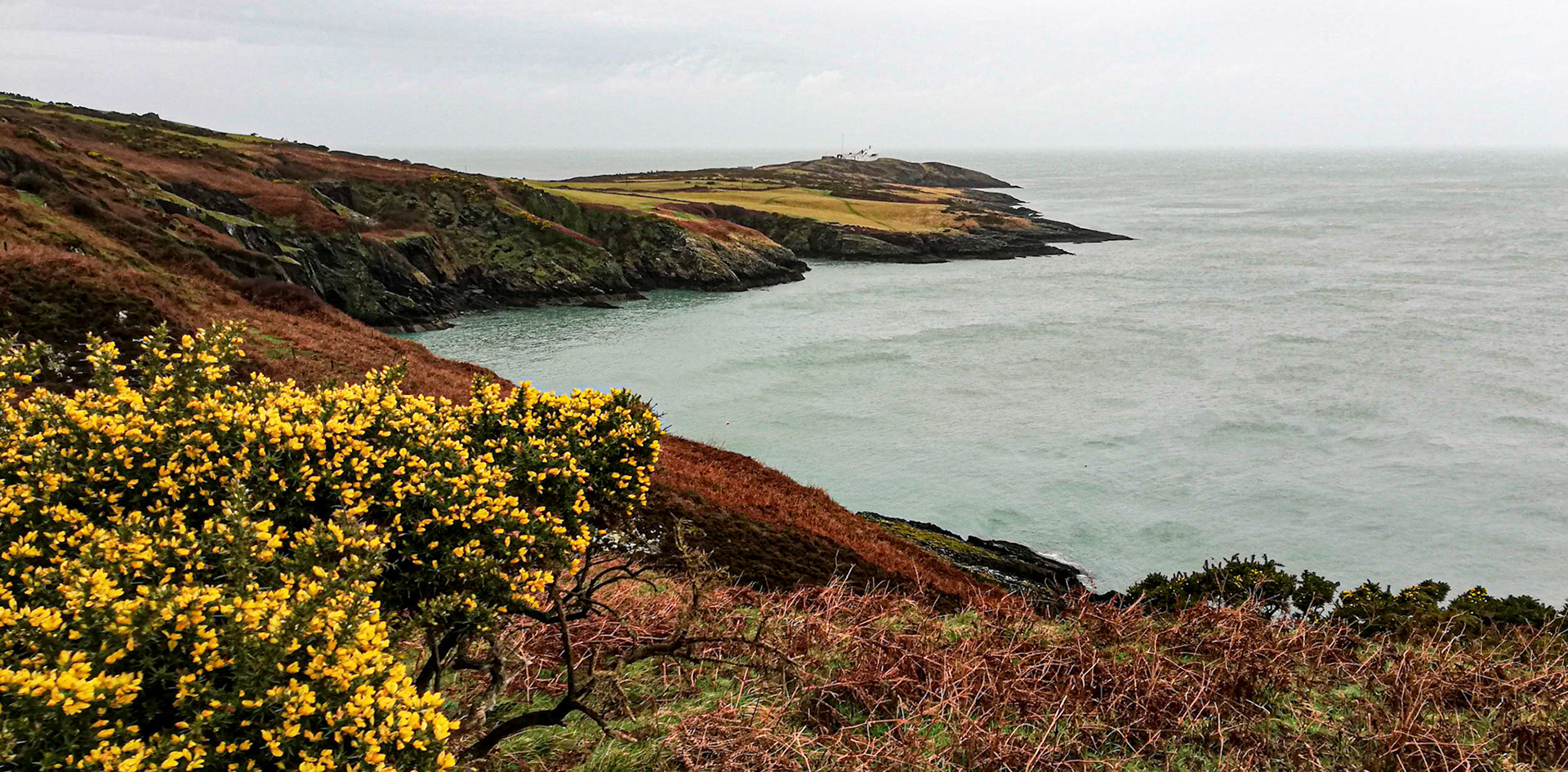Coast of Point Lynas, Anglesey