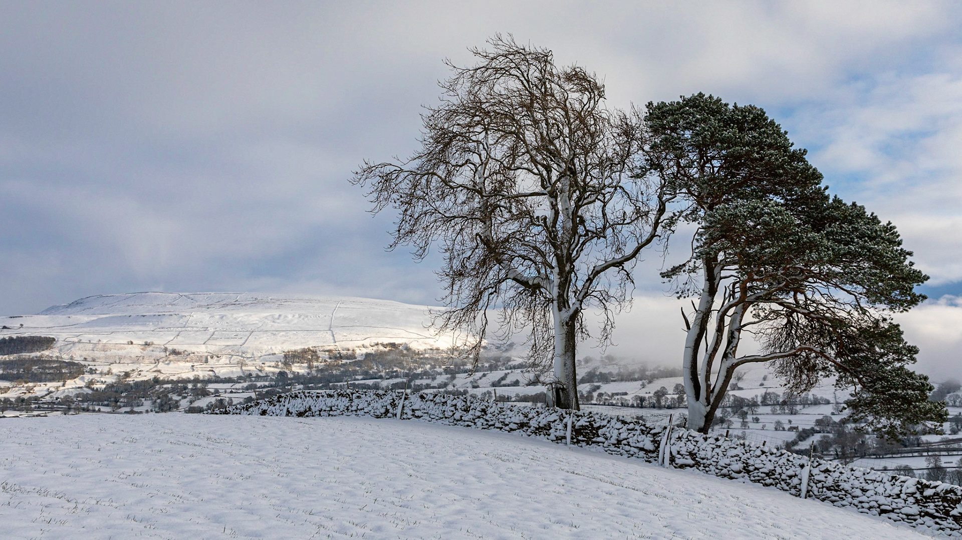 Thoralby, Bishopdale, Yorkshire Dales
