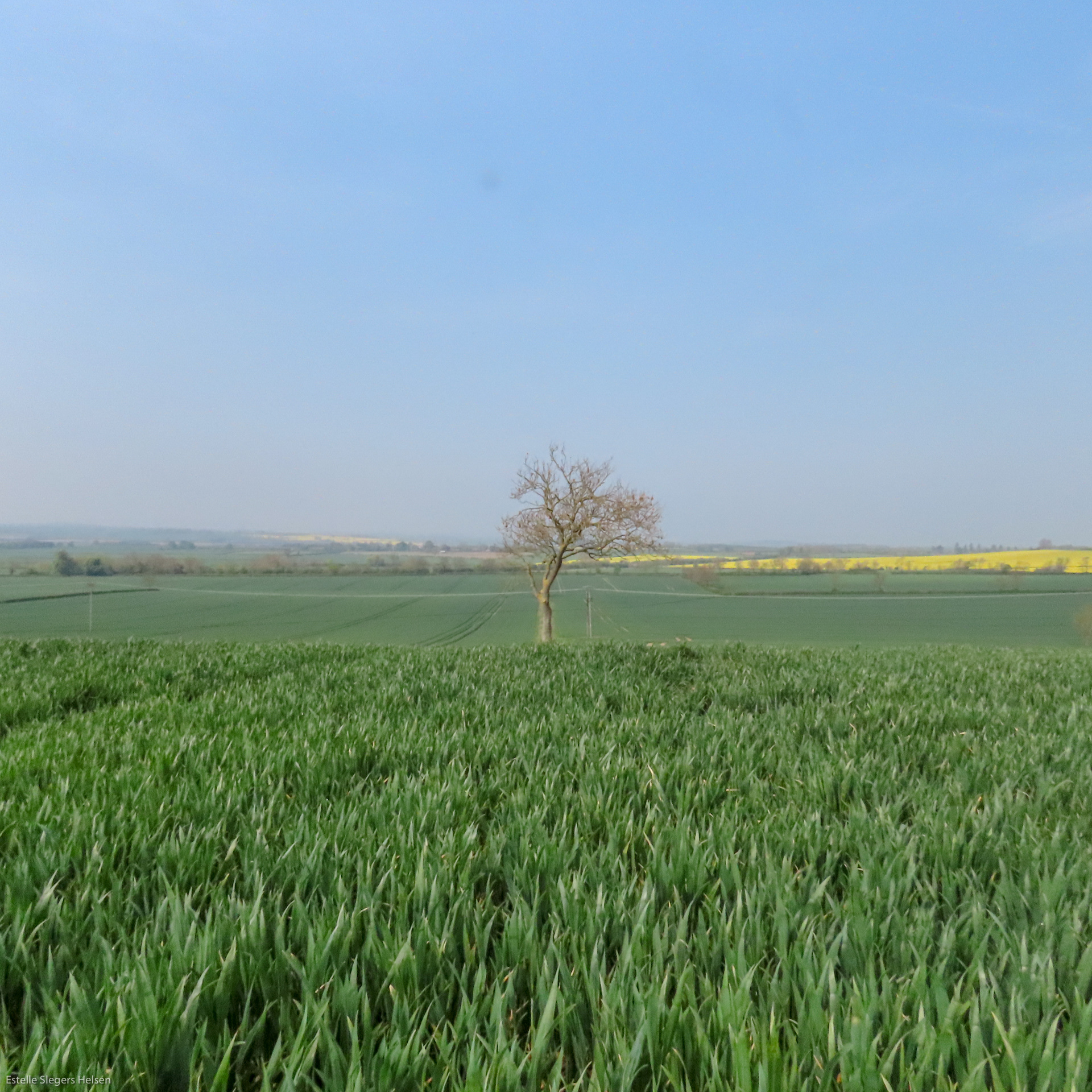 May 2019