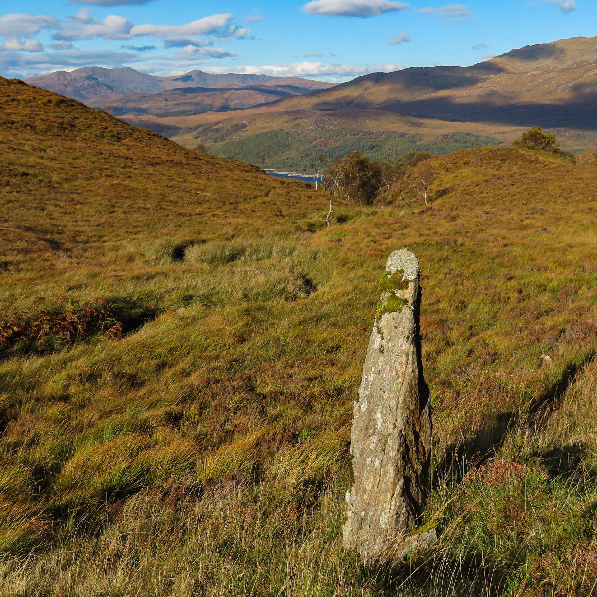 Upright stone (border stone/distance marker?) at the Allt Shalachan valley, Glencripesdale Estate, with view to Loch Sunart