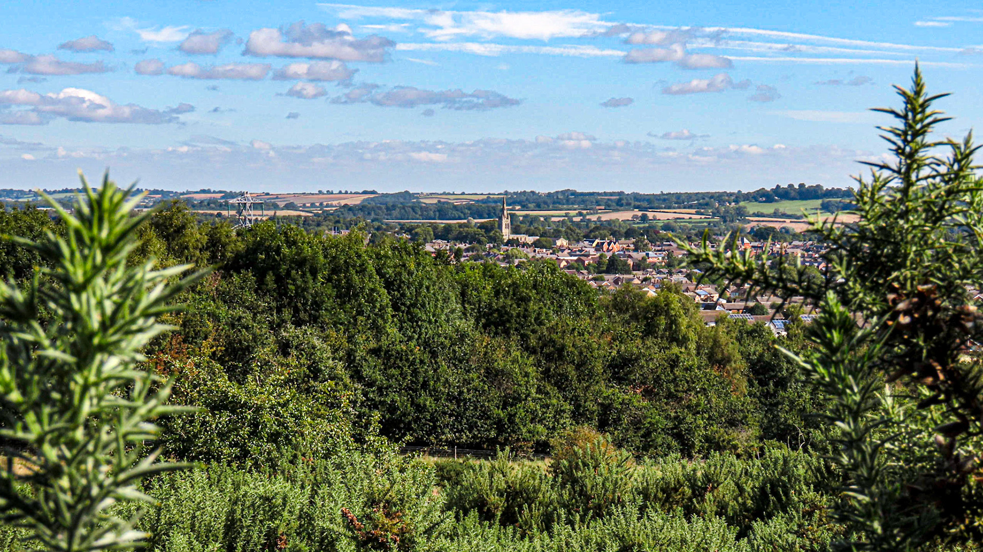 Brooke Hill Wood, Rutland
