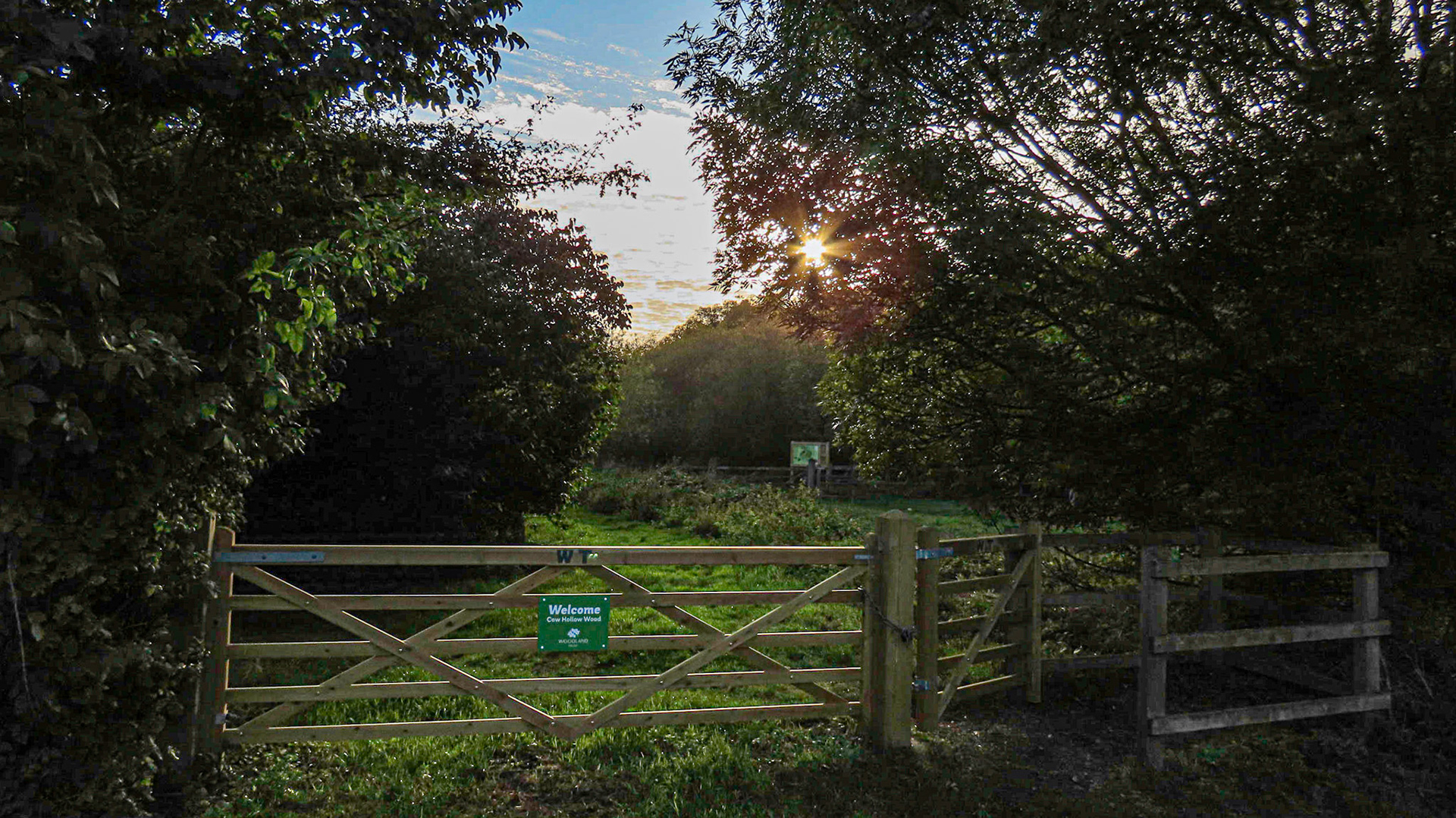 Cow Hollow Wood, Cambridgeshire
