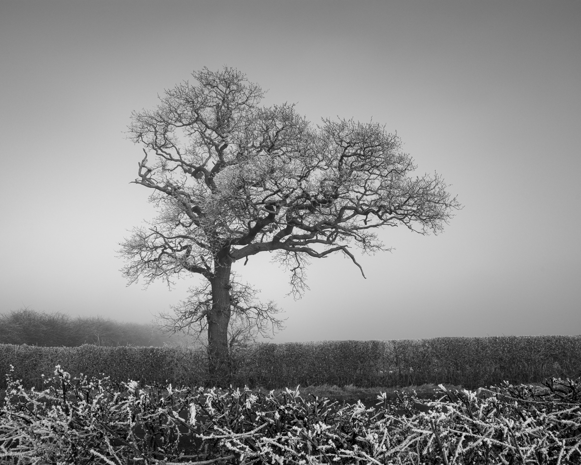 Waltham on the Wolds, Leicestershire