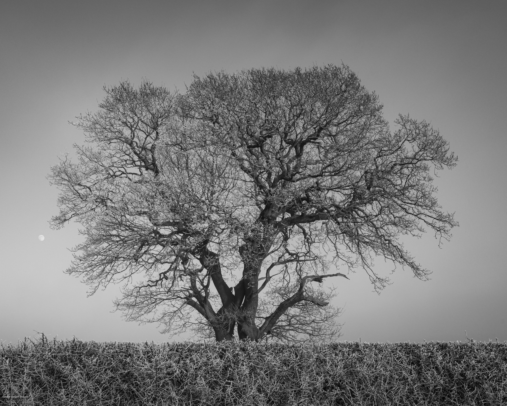 Waltham on the Wolds, Leicestershire