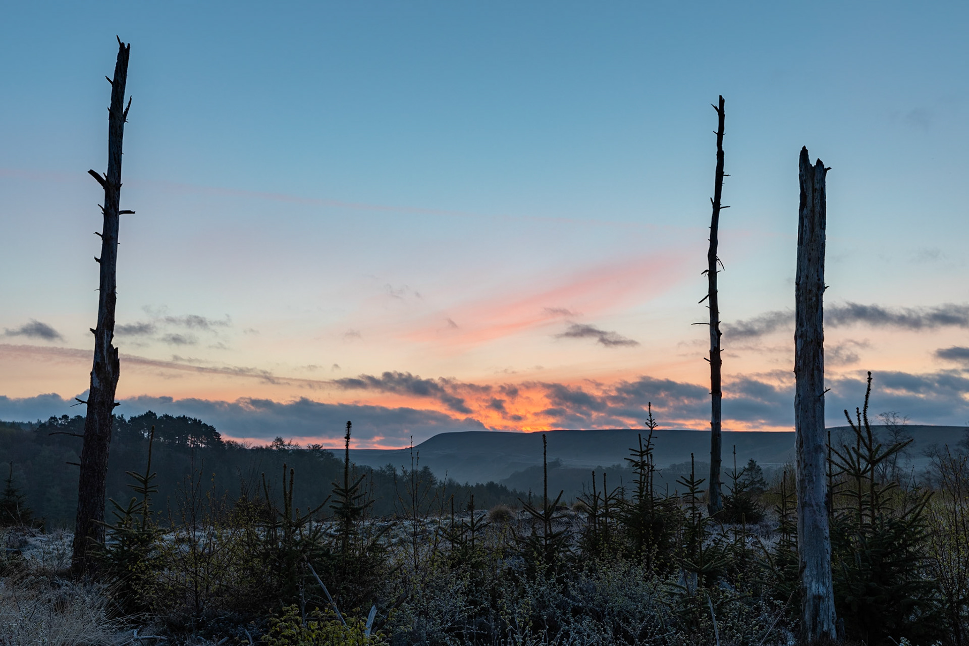 Morning twilight above Levisham Moor