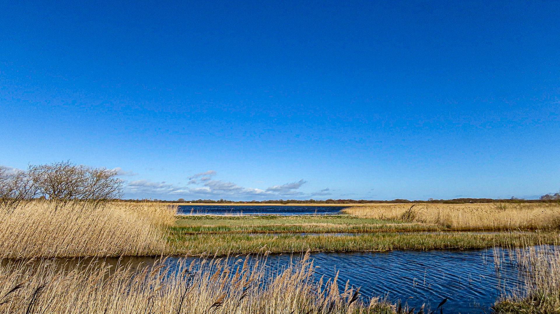 Hickling Broad, Potter Heigham, The Broads