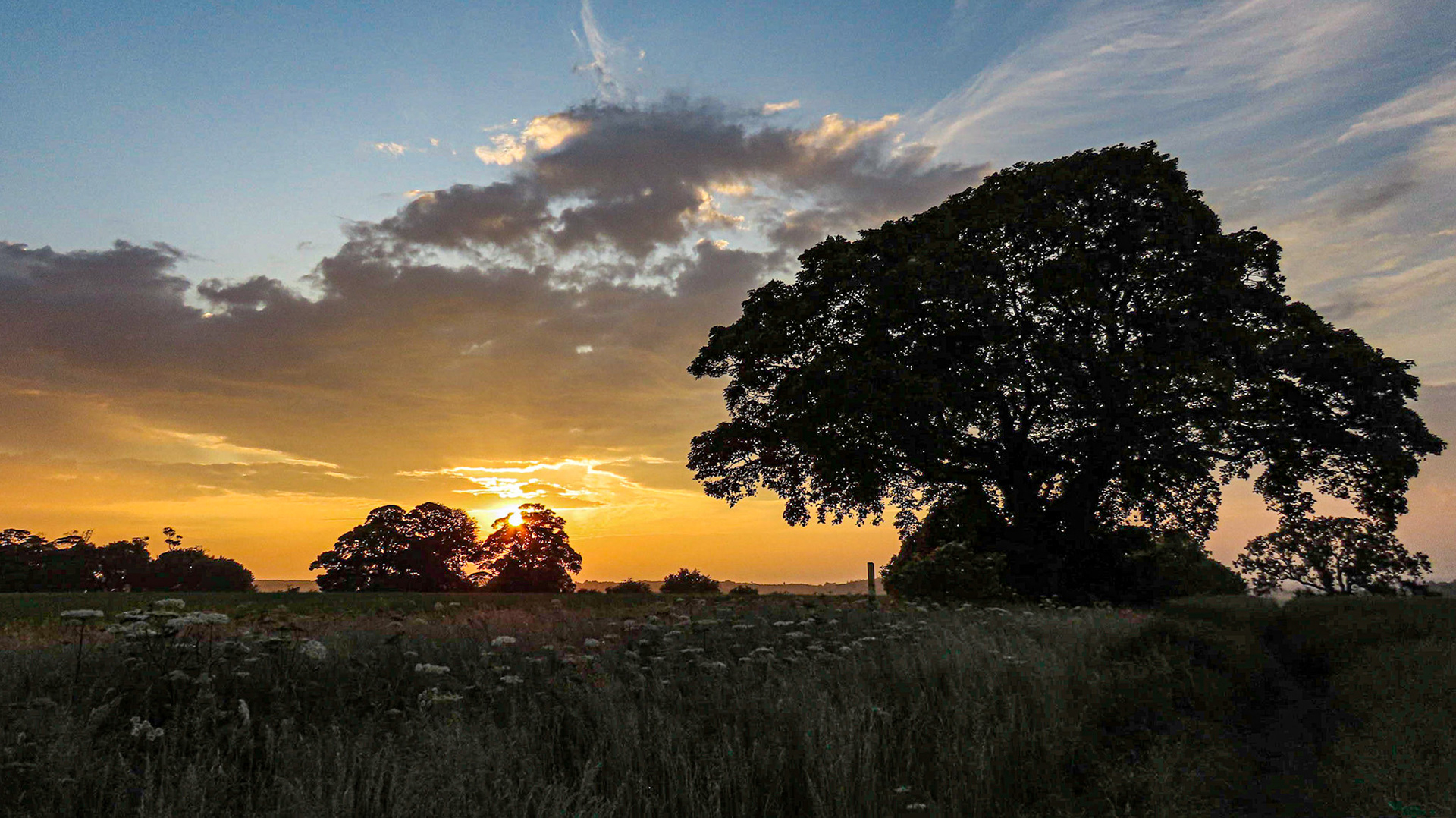 Public Foothpath sunset, north of Croxton Kerrial, Leicestershire