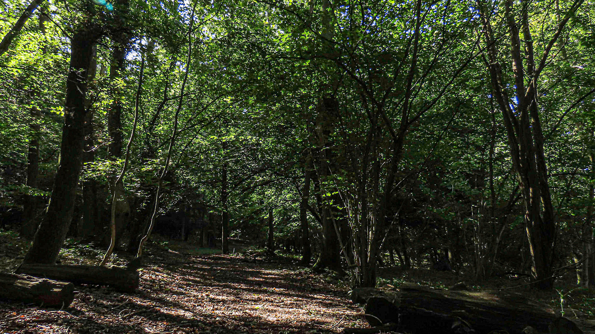 Ipsden Heath, Oxfordshire