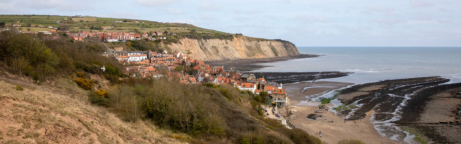 View on Robin Hood's Bay from Cleveland Way