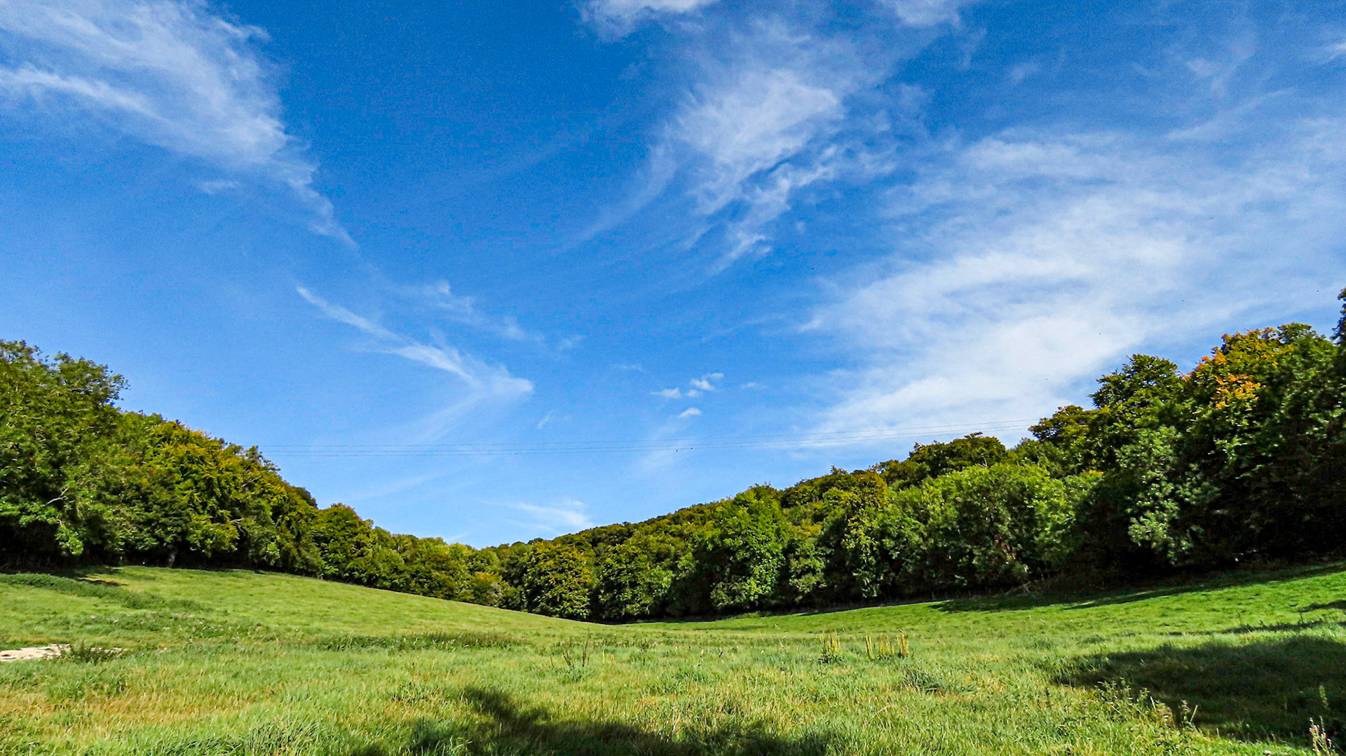 Gomm's & Bubbles, Buckinghamshire